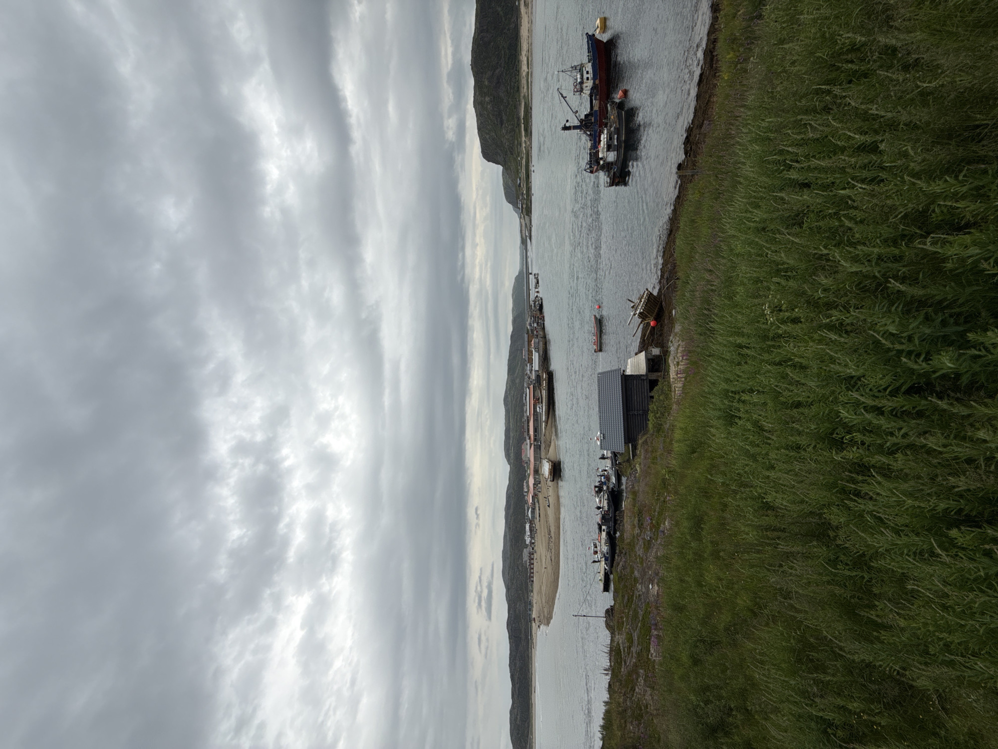 This image shows a cloudy day in Teriberka, Russia, with a view of the coast. The foreground is dominated by tall, green grass. In the middle ground, several boats are docked or moored in the water. Some of these boats are small, while others are larger fishing vessels. A small, dark wooden structure is also visible on the shore, with a partially overturned wooden boat and a red buoy nearby. Further out in the water, more boats are visible, and a long, sandy spit of land stretches into the distance. Along the spit, a cluster of buildings, likely part of the village, is situated. In the background, rolling hills with sparse vegetation rise up from the coastline. The sky is overcast with heavy, gray clouds. The overall scene depicts a coastal settlement with active maritime activity under a subdued sky.
