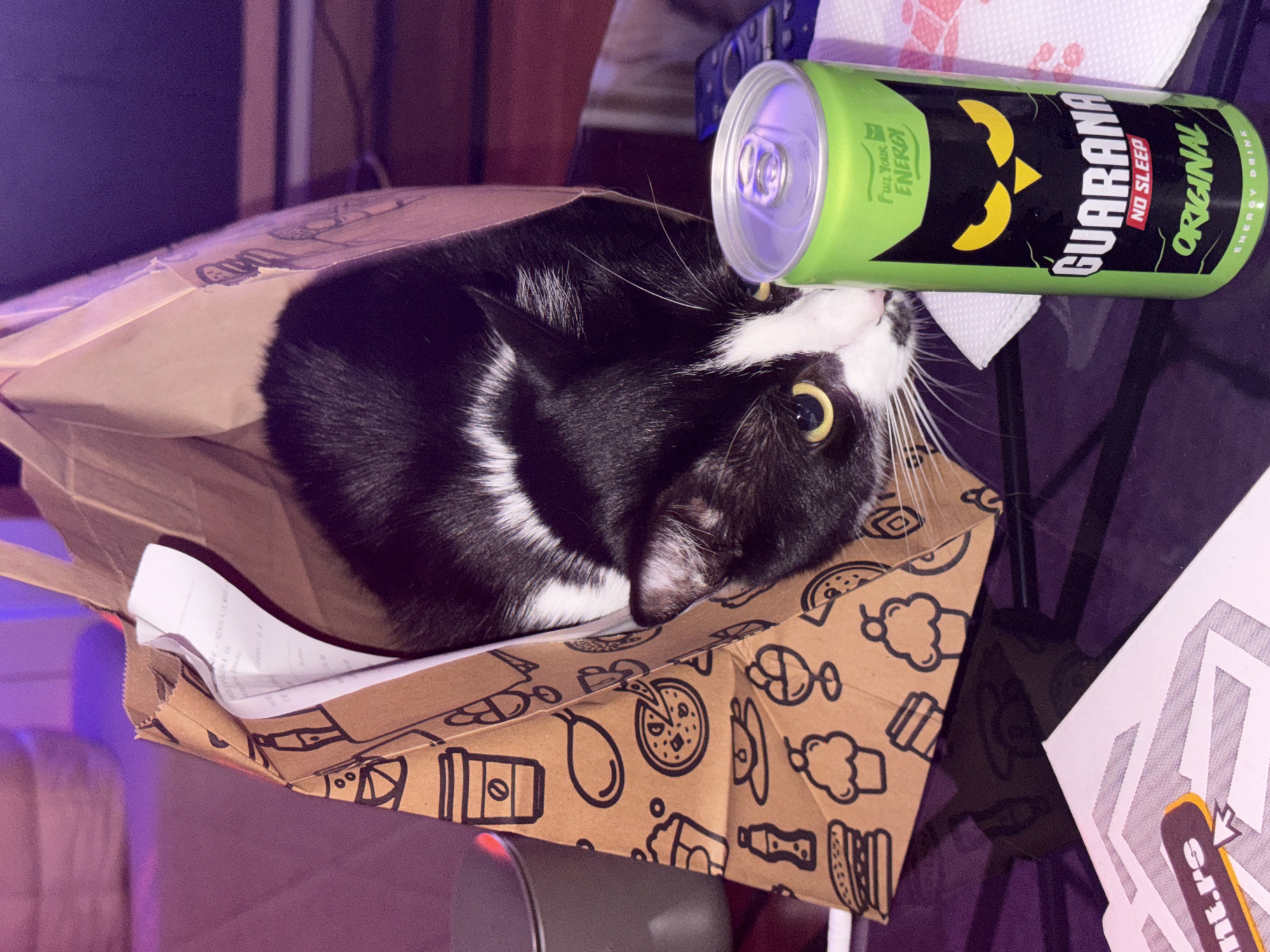 A black and white cat is lying inside a brown paper bag with various food icons printed on it (e.g., pizza, coffee, burger). A green "Guarana Original No Sleep" energy drink can is resting beside the cat's head. A white receipt is visible inside the bag. The image appears to be taken on a glass table or surface. "Belgrade, Serbia" is not visually confirmed, and therefore cannot be verified as the location.