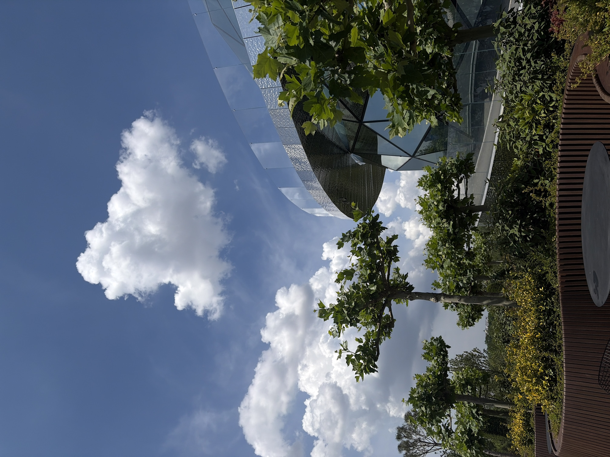 This detailed image captures a modern architectural and landscape scene in Galitsky Park, Krasnodar, Russia. A contemporary building occupies the right side, featuring a prominent, curved upper section with a highly reflective, textured metallic facade and a clear glass railing. Below this, the building displays a segmented glass exterior composed of various geometric panels. The sky is bright blue, populated by numerous large, white cumulus clouds. In the foreground and middle ground, a meticulously landscaped area is visible, dominated by several pruned trees with vibrant green foliage. These trees are surrounded by dense plantings of green and yellow-leafed shrubs arranged in curved beds. A curved, slatted wooden planter or seating area is situated in the lower left, with a portion of a dark circular table visible in the lower right. No individuals are present in the scene. The lighting indicates a bright, sunny daytime environment.