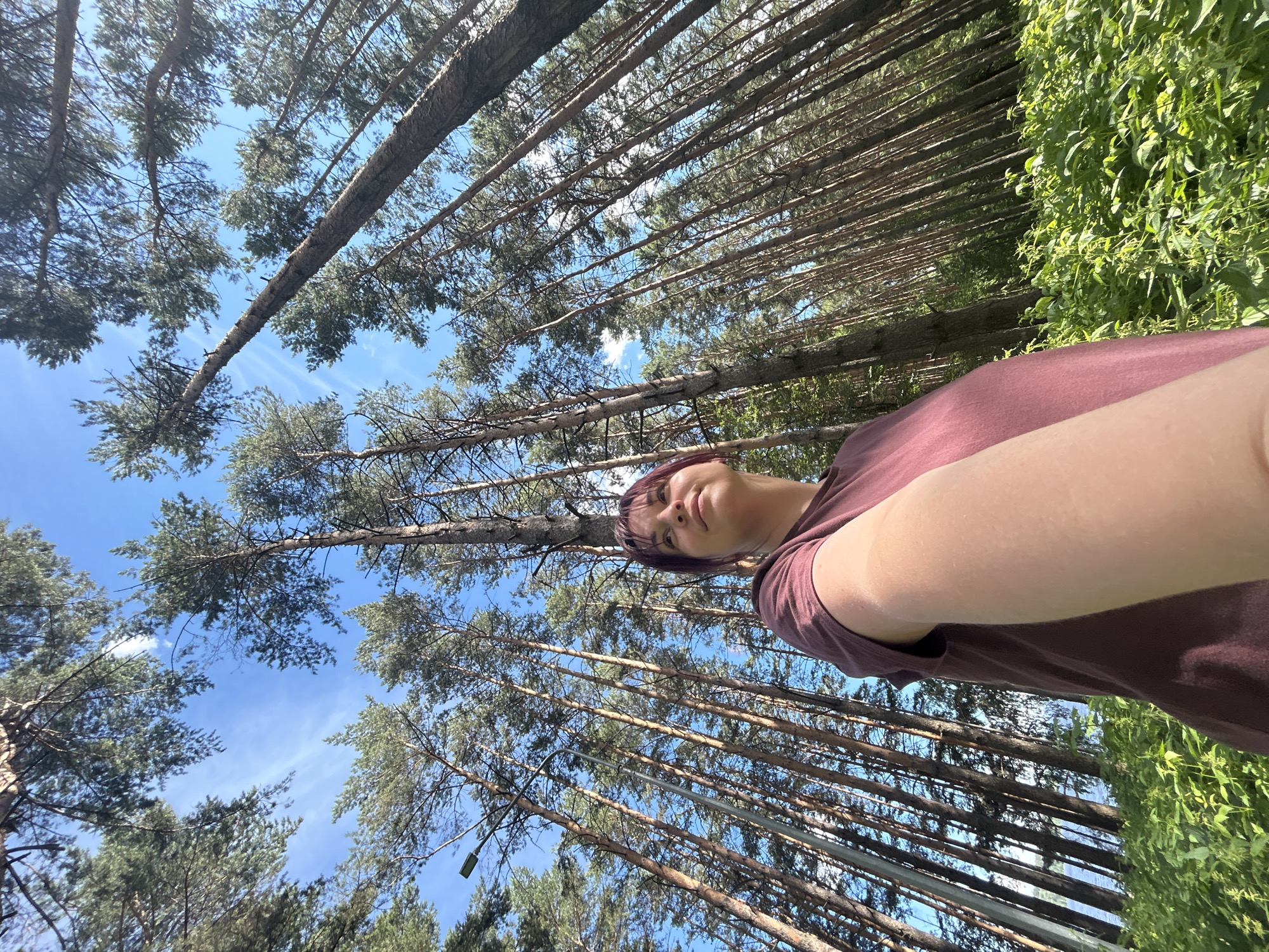 In this self-portrait taken outdoors, a person is captured from the chest up, with their arm extending towards the camera, holding the device used to take the photo. They are wearing a burgundy t-shirt. The person has short, dark hair with purple streaks and is looking towards the camera with a relaxed expression.
The background is a forest setting, dominated by tall pine trees whose trunks stretch upwards, creating a dense canopy. The sky is a clear blue with wispy white clouds. The sun appears to be high in the sky, suggesting it is daytime, likely late morning or early afternoon. The lighting indicates it is a bright, sunny day.
To the right of the frame, lush green foliage from bushes or smaller trees is visible. In the background, a tall, thin metal pole with a light fixture attached is partially visible among the trees, suggesting the presence of a pathway or park area. The image is oriented such that the person and the trees are sideways relative to a standard upright orientation. The overall scene evokes a sense of being in nature, possibly during a walk or hike in a wooded area. There is no visible text in the image. The location context provided is Chaikovsky, Russia.