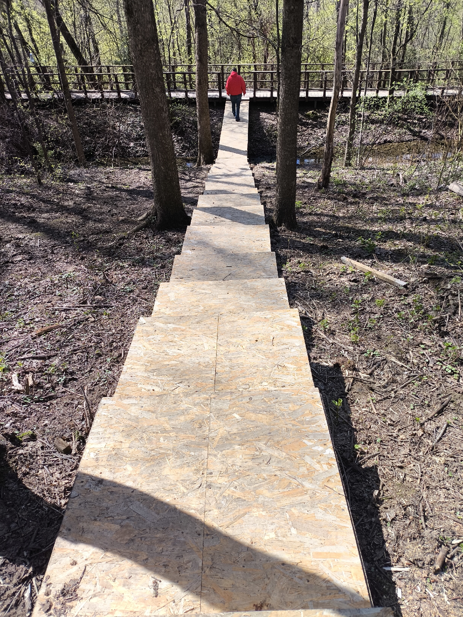 A pathway constructed of oriented strand board (OSB) runs through a wooded area. The path is bordered by trees on both sides. A person wearing a red jacket is walking away from the viewer on the pathway. In the background, a raised wooden boardwalk is visible. The ground is covered in leaves and other organic debris. The scene is possibly located in Moscow, Russia.