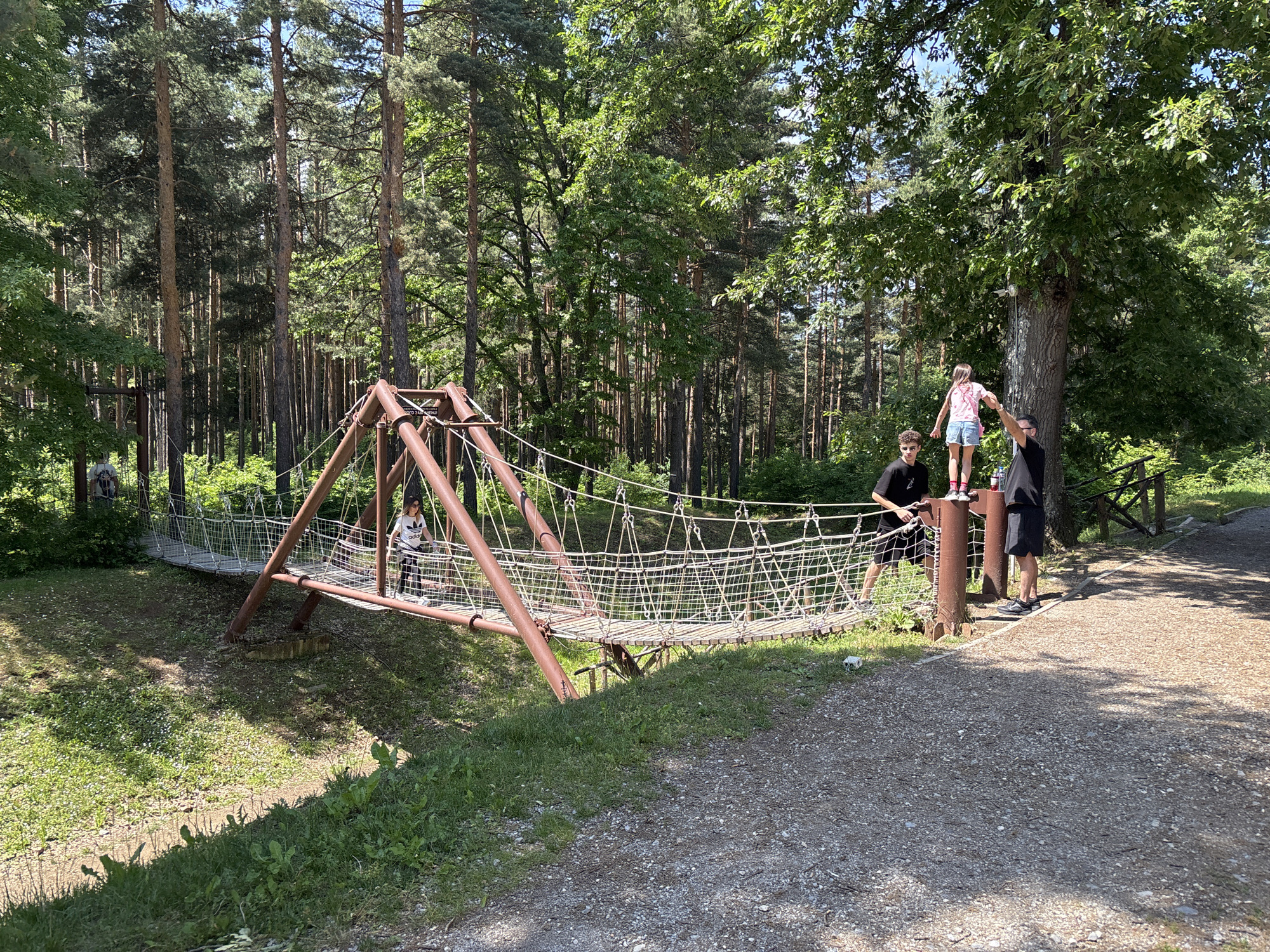 The image captures a detailed view of a rope bridge structure within a forested recreational area in Belchinski Bani, Bulgaria, under bright daylight. The environment features a dense forest composed of tall coniferous trees, primarily pines, interspersed with some deciduous trees displaying lush green foliage. The ground cover includes a gravel pathway on the right, transitioning to grass and dirt, with a notable depression or ditch spanned by a section of the bridge.
The central subject is a multi-section rope bridge supported by sturdy, rust-colored metal posts and beams. The bridge walkway is constructed from wooden planks, with safety railings and side panels made from intertwined ropes and metal netting. A partially visible sign with Cyrillic text, possibly a warning, is affixed to one of the metal supports on the bridge's left side.
On the right side of the bridge structure, near the gravel path, three individuals are present. A young girl, wearing a pink t-shirt, denim shorts, and pink shoes, stands precariously balanced atop one of the thick metal support beams. An adult male, dressed in a black t-shirt, black shorts, and dark sneakers, stands next to her, holding her hand to provide stability. A young male, also in a black t-shirt and shorts, stands slightly behind them, facing the bridge entrance.
On the left side of the bridge, a person wearing a white t-shirt with a visible logo and dark pants is actively walking across the initial section of the rope bridge, moving towards the right. Further along the bridge, another person, wearing a white t-shirt and light-colored pants, is partially visible traversing a section spanning the ditch, heading towards the left. In the far background on the left, near the apparent start of the bridge, a third person in a white shirt and jeans is partially obscured by foliage. The scene depicts recreational activity in an adventure park setting.