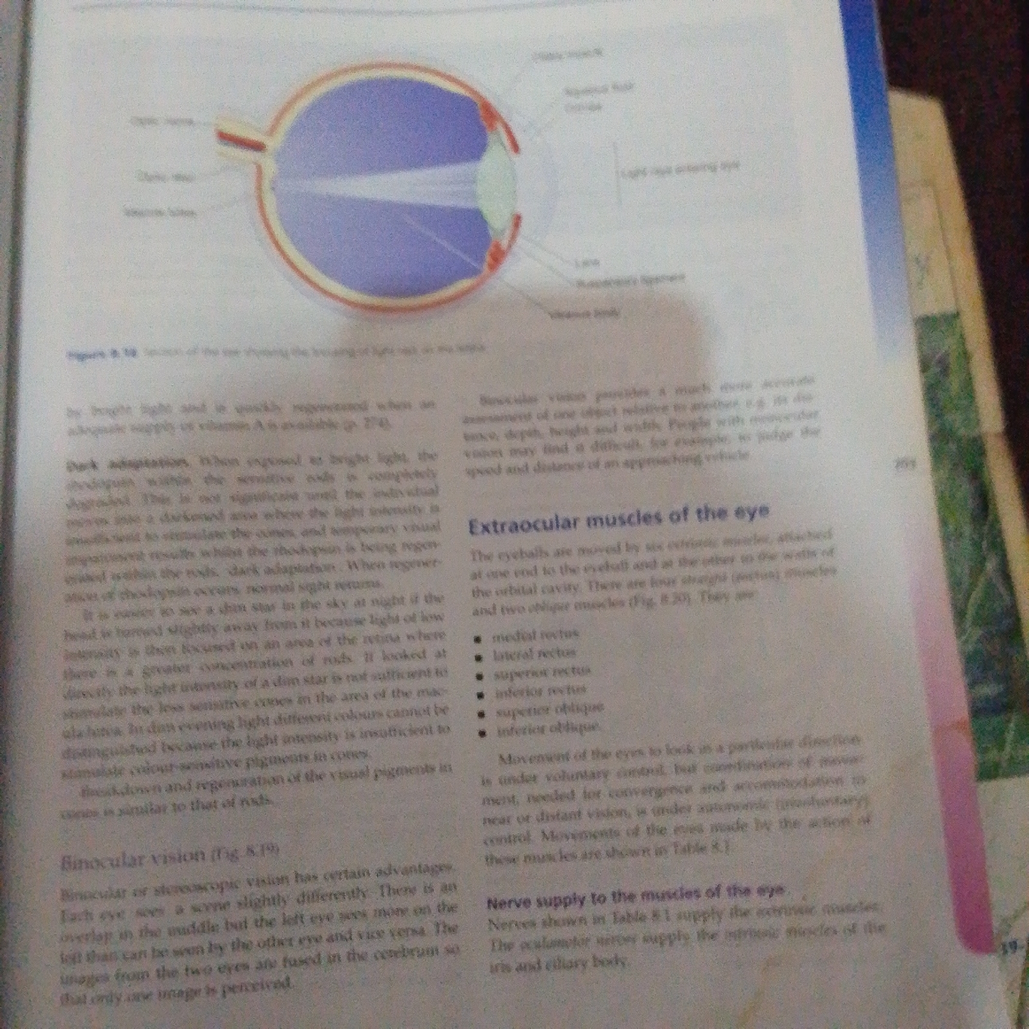 The image is a page from a textbook, open to a section discussing the eye. On the left side, a diagram of the eye shows its internal structure with labels. The text below the diagram describes dark adaptation and binocular vision. On the right side, the heading "Extraocular muscles of the eye" is followed by a list of these muscles. Further down, text discusses the nerve supply to these muscles. The overall context is educational, detailing aspects of human vision. There is no information related to Jalingo, Nigeria, or any forensic details.