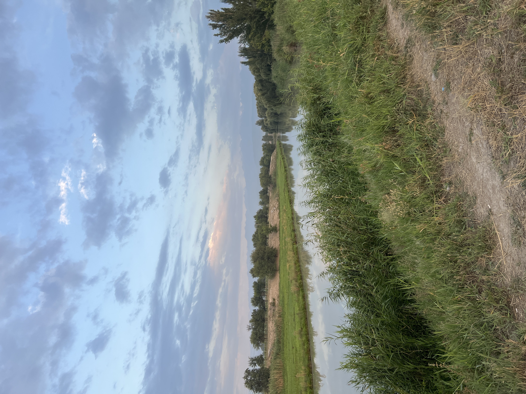 The image depicts a scenic view of a river flowing through a natural landscape. The river is calm and reflects the cloudy sky above, which is a mixture of blue and grey. Lush green grass and reeds line the banks of the river, with a dirt path visible in the foreground. In the background, a line of trees and distant mountains can be seen. The overall impression is one of tranquility and natural beauty. The image is located in Drujba, Kyrgyzstan, a place known for its picturesque natural settings.