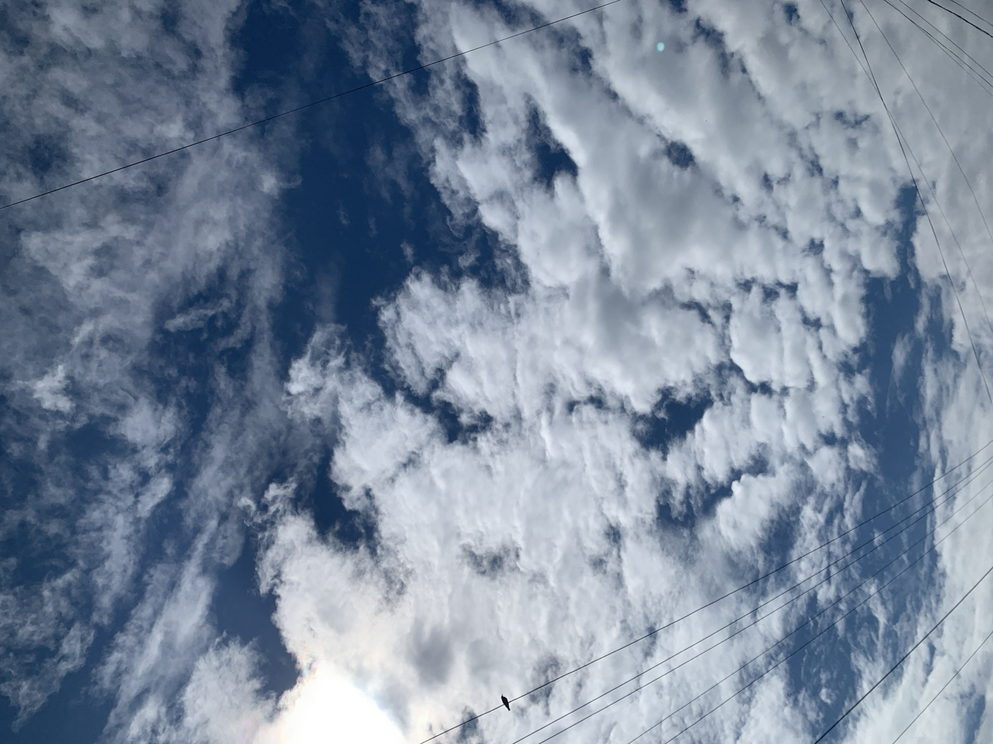 This image captures an upward perspective of a partly cloudy sky over the city of Фоки, Russia. The sky exhibits a deep blue hue, with a significant presence of white, voluminous cumulus clouds and some thinner, streaky cloud formations. A bright light source, consistent with the sun, is visible in the upper left quadrant, partially obscured by clouds, generating a localized area of intense brightness and a slight chromatic aberration. Multiple dark, thin utility wires crisscross the frame, creating linear patterns against the sky. A small, dark bird is perched on one of these wires, silhouetted against the bright backdrop, located in the mid-left section of the image. A faint, cyan-colored circular artifact is present in the lower right portion of the image. No other subjects, objects, or human activities are discernible within the frame.