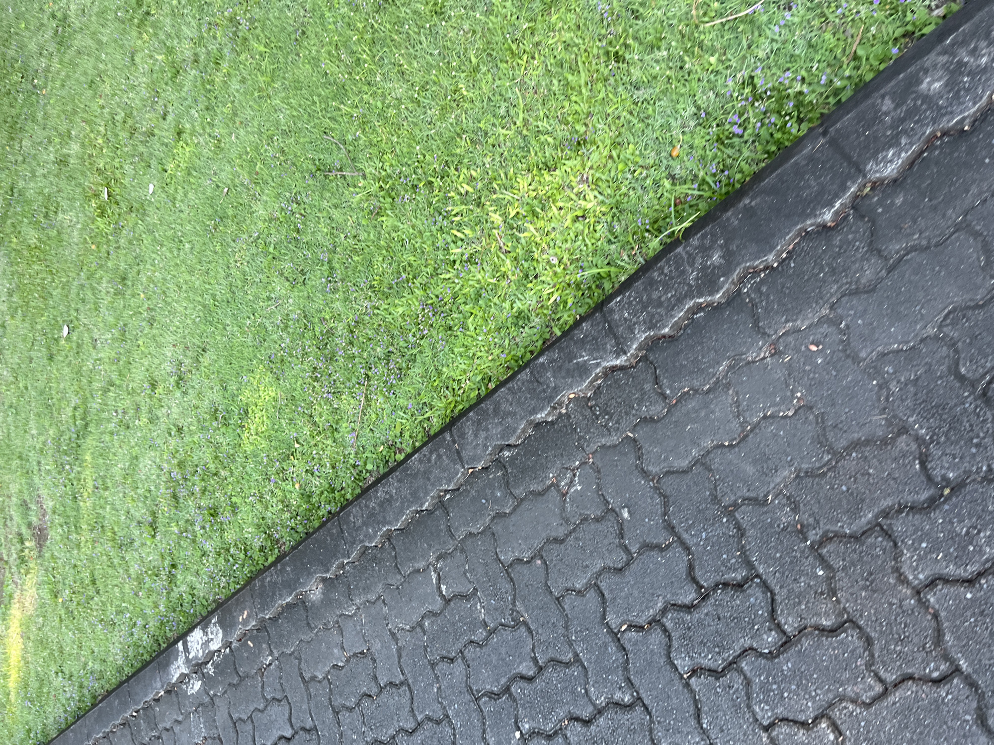 The image shows a close-up view of a section where green grass meets a paved area. The paved area appears to be constructed from interlocking blocks and is dark gray in color. The grass is green and dense. The scene is outdoors. The city is not identifiable from this image.