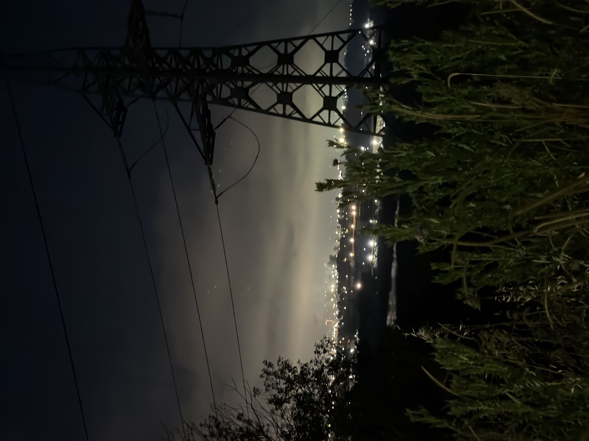 The image depicts a nighttime scene overlooking the industrial and urban landscape of Burgas, Bulgaria. In the immediate foreground, a dense thicket of tall, dark green and brown vegetation, appearing as weeds or bushes, occupies the lower portion of the frame. To the left, a silhouetted tree with visible branches and sparse foliage stands against the dimly lit sky. Dominating the right side of the composition is a large, dark metal lattice power pylon, extending from the bottom to the top of the frame. Multiple dark power lines stretch horizontally from the pylon across the middle of the sky.
The midground features a dark, indistinct area beneath the power lines and tree, possibly indicating lower terrain or a body of water, with a few faint lights scattered within it. The background reveals a sprawling cityscape under a heavily overcast sky. Thousands of artificial lights, primarily white and amber, delineate numerous buildings, infrastructure, and roads across the distant urban and industrial areas. A prominent, slender, and uniformly illuminated tall structure, likely an industrial tower or building within a complex, stands out near the center-left horizon. The low-hanging clouds reflect the city lights, creating a soft, diffused glow across the sky. Faint plumes, possibly of steam or smoke, are visible rising from points within the distant industrial zone.
This perspective strongly suggests an elevated vantage point overlooking the **Burgas Port and the Lukoil Neftochim Burgas refinery complex** from the western or northwestern outskirts of Burgas, Bulgaria, such as from the higher ground in the Meden Rudnik residential complex or a similar area, looking towards the Bay of Burgas and the city's industrial zones. No people or discernible actions are visible.