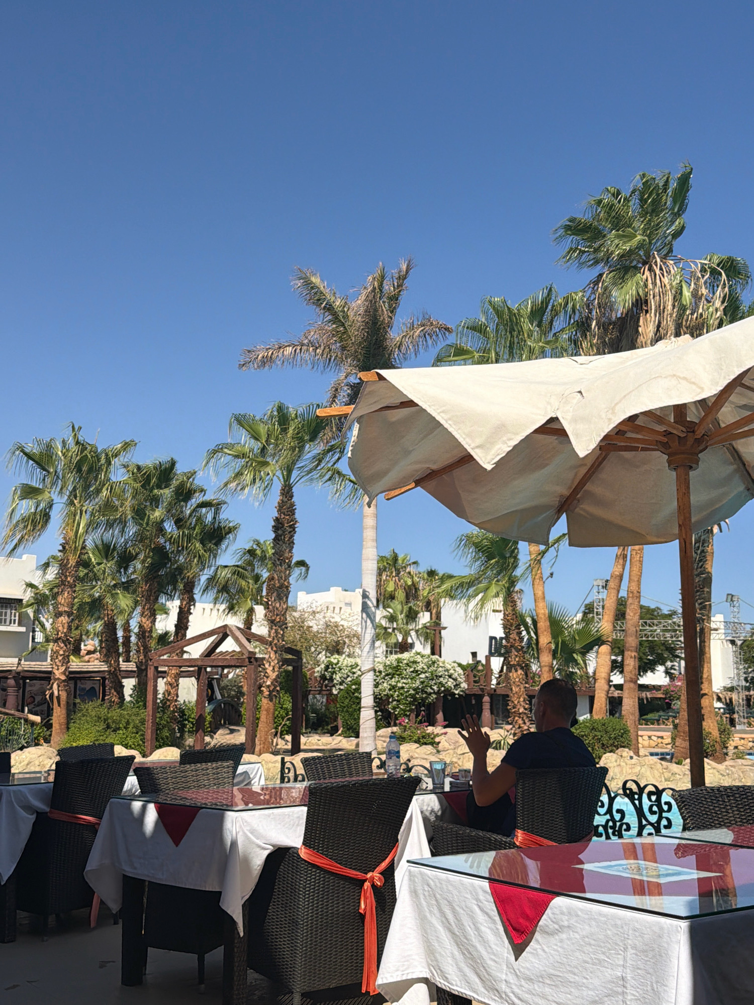 The image depicts an outdoor seating area at a resort, likely in Sharm El Sheikh, Egypt, given the presence of numerous palm trees and the bright, clear blue sky. The setting appears to be a restaurant or cafe, with several tables draped in white tablecloths adorned with red napkins. Woven chairs surround the tables, some with orange sashes tied around them. In the foreground, a large, off-white umbrella provides shade. In the middle ground, a person wearing a dark t-shirt is seated at one of the tables, gesturing with their left hand. Behind the seating area, lush greenery, including more palm trees and flowering bushes, is visible. In the background, white buildings with traditional architectural elements are present. The overall atmosphere suggests a relaxed, sunny day at a tourist destination.