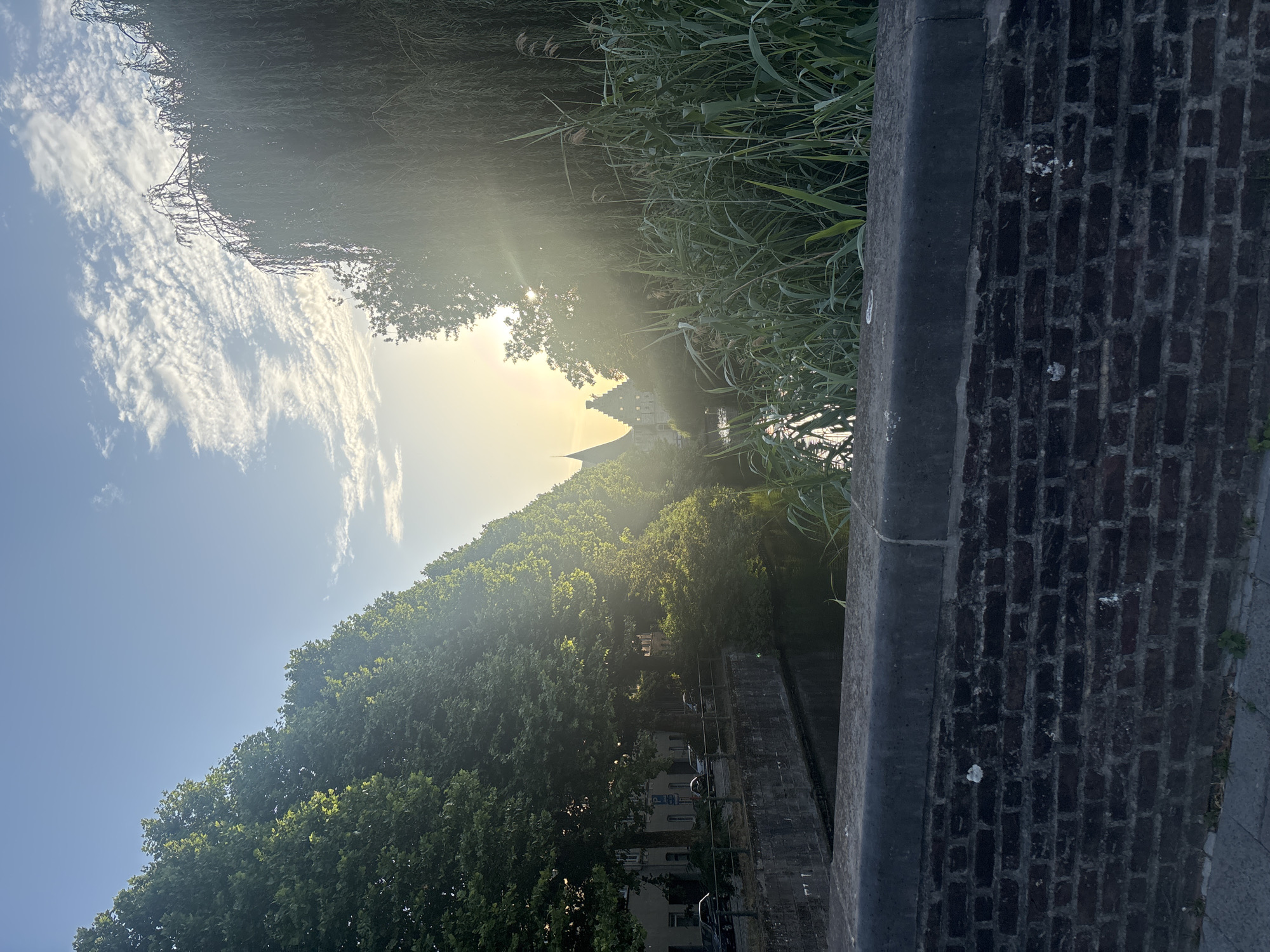 The image depicts a canal in Ghent, Belgium, bordered by trees on the left and tall reeds on the right, under a bright, partly cloudy sky. A stone embankment and a brick wall are visible in the foreground. In the background, buildings with pointed roofs suggest a historic architectural style, and a faint silhouette of a church tower or spire can be seen. The sun is low in the sky, creating a warm, hazy light that casts rays through the foliage. There are no people visible in the scene. The overall impression is one of a tranquil, sunlit urban waterway.