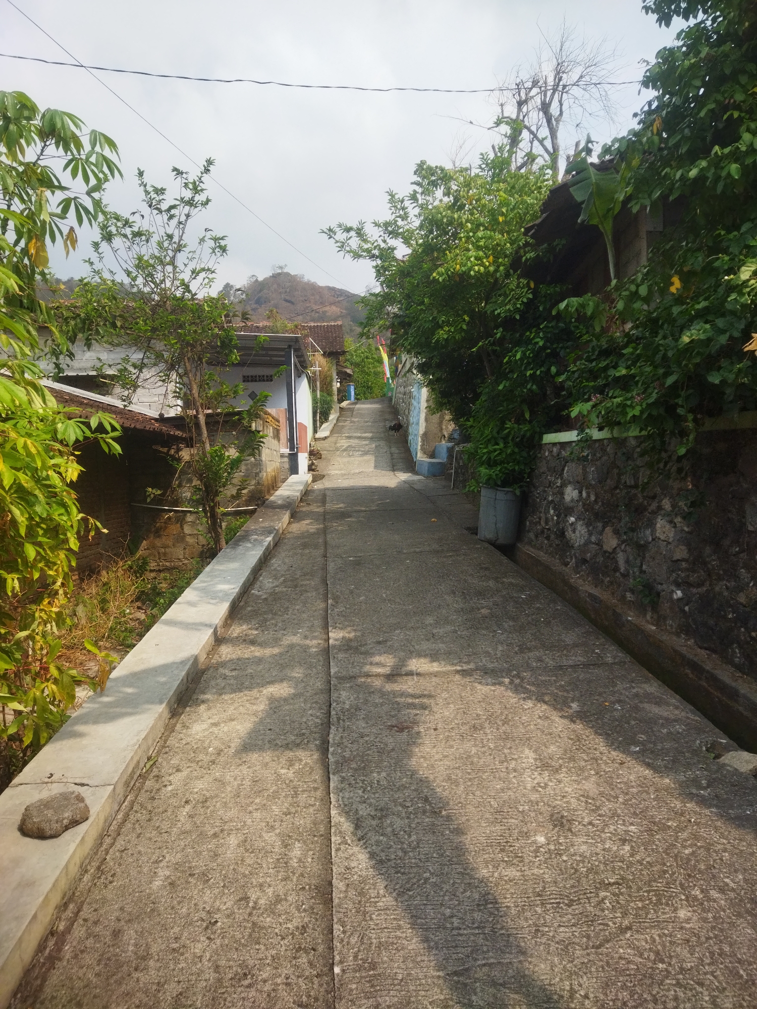 The image depicts a concrete pathway ascending a gentle slope in the village of Giripurwo, Indonesia. On the left side of the path, there is a low concrete retaining wall bordering a strip of dry vegetation and a few green leafy plants. Beyond the wall, a small, partially visible house with a white brick exterior and a tiled roof is situated. Further up the path, on the right, a rough stone wall supports a dense growth of green trees and foliage. A gray trash can stands next to the stone wall, and houses with tiled roofs are visible further up the incline. In the distance, a dry, barren hill rises under a hazy, overcast sky. The pathway is mostly illuminated by sunlight, casting distinct shadows. A single, small, dark-colored bird is perched on the stone wall to the left of the pathway, midway up the ascent. The scene suggests a quiet, rural residential area.