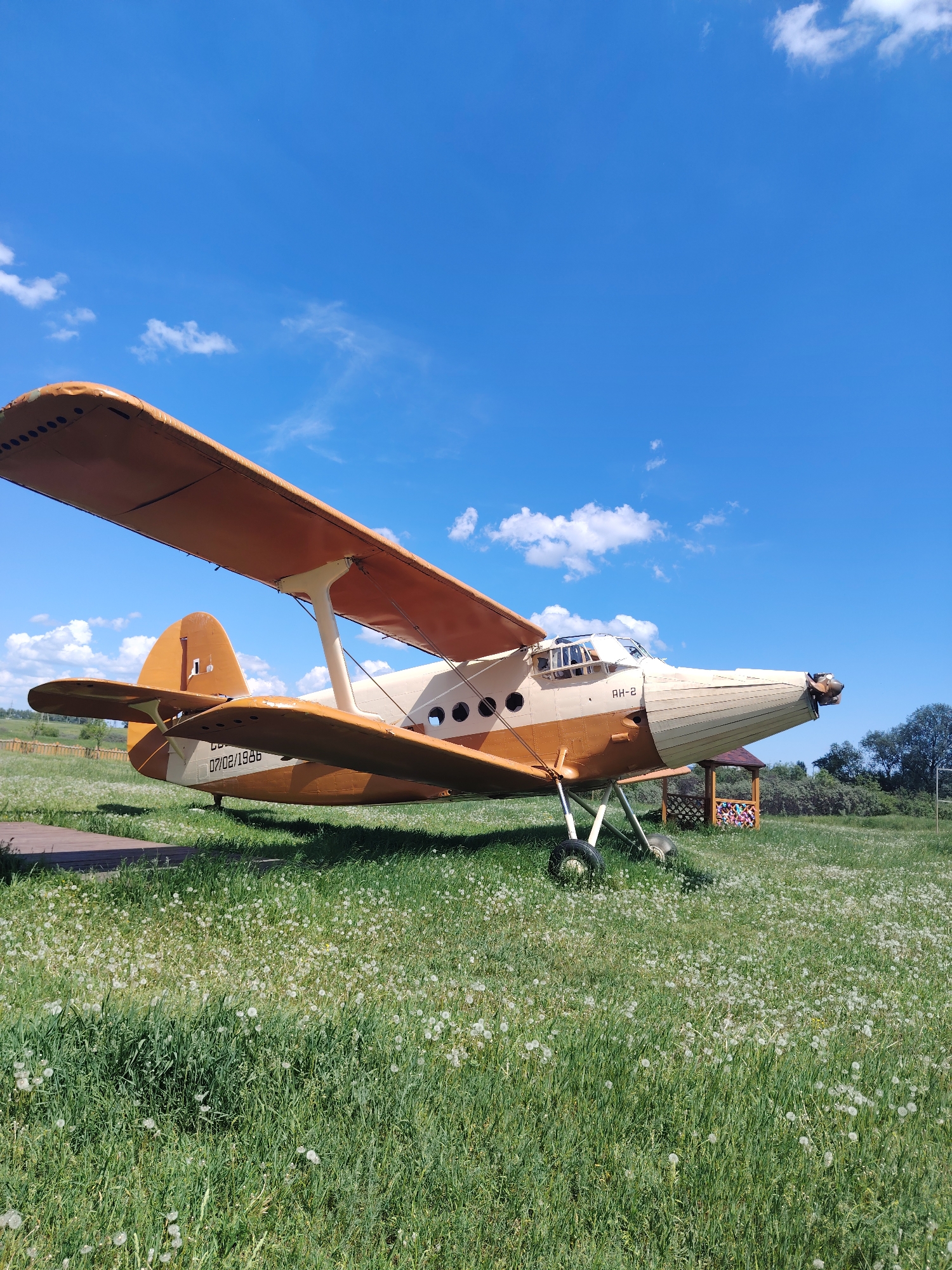 An outdoor, eye-level, full shot captures a twin-winged, orange and tan biplane parked on a grassy field. The plane, a Soviet-era Antonov An-2, is positioned at a slight angle, its front facing towards the right. The propeller is visible, and "AH-2" is marked on the nose. The tail of the plane displays the registration "07/02/1946." The field is abundant with green grass and dotted with numerous white dandelion seed heads. In the background, a small, wooden, open-sided gazebo with a patterned roof is situated to the right of the plane. Beyond the field, a line of trees forms the horizon under a bright blue sky with scattered white clouds. The lighting suggests it is a sunny day.