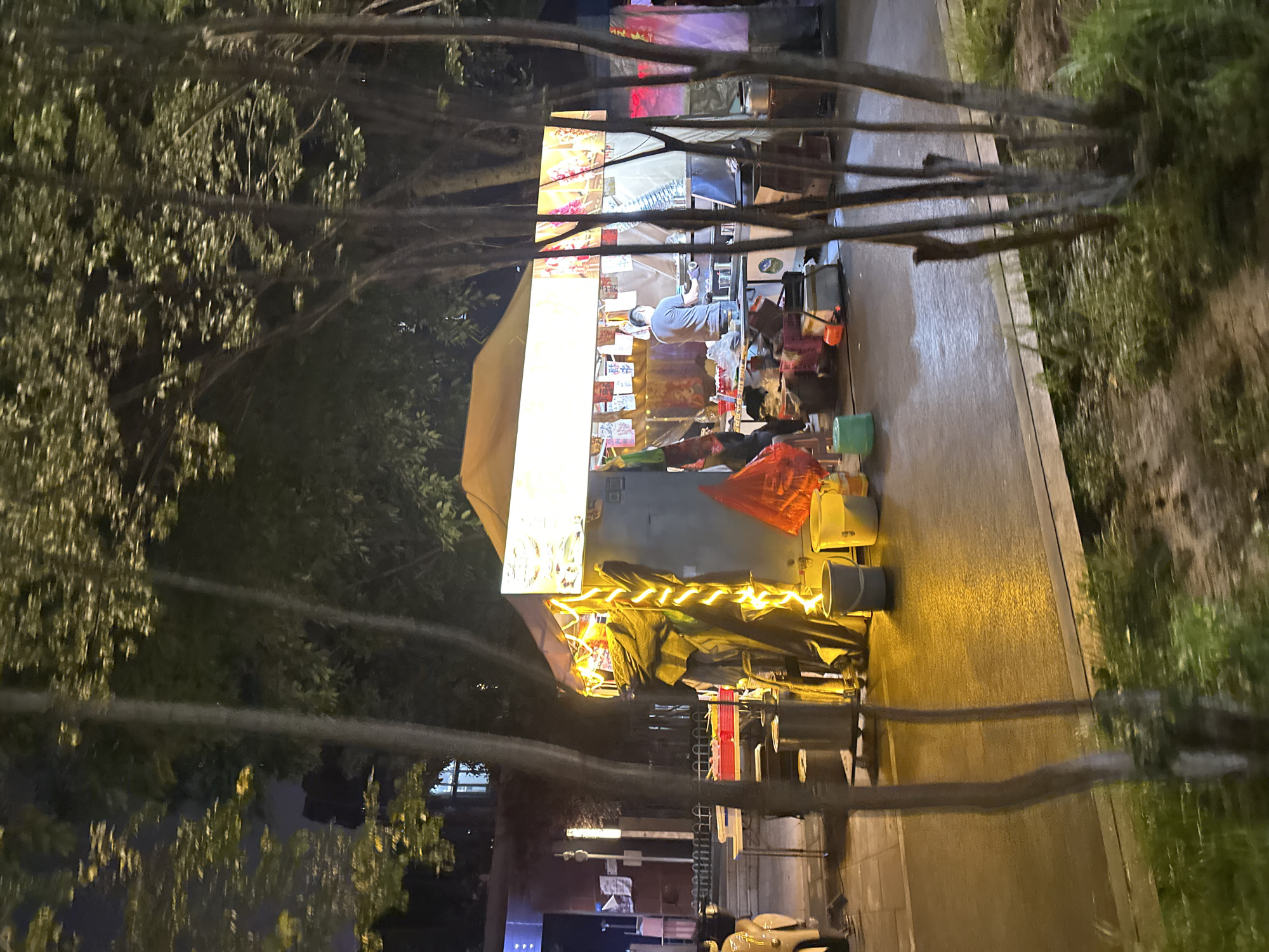 An outdoor food stall is set up at night in the Chongqing High-tech Zone, China, under the soft glow of yellow string lights and illuminated signage. The stall is covered by a large, cream-colored awning. A man, seen from behind, is working behind the counter, preparing food. Various cooking utensils and ingredients are visible on the counter. In front of the stall, there are several buckets, some filled with what appears to be water or waste. Behind the stall, a building with windows is visible, suggesting an urban setting. Trees with dense foliage partially obscure the scene, their branches reaching out towards the stall. The ground is paved and appears wet, reflecting the artificial lights. A motorcycle is parked to the left of the stall. The overall atmosphere suggests a busy street food vendor operating in a public area.