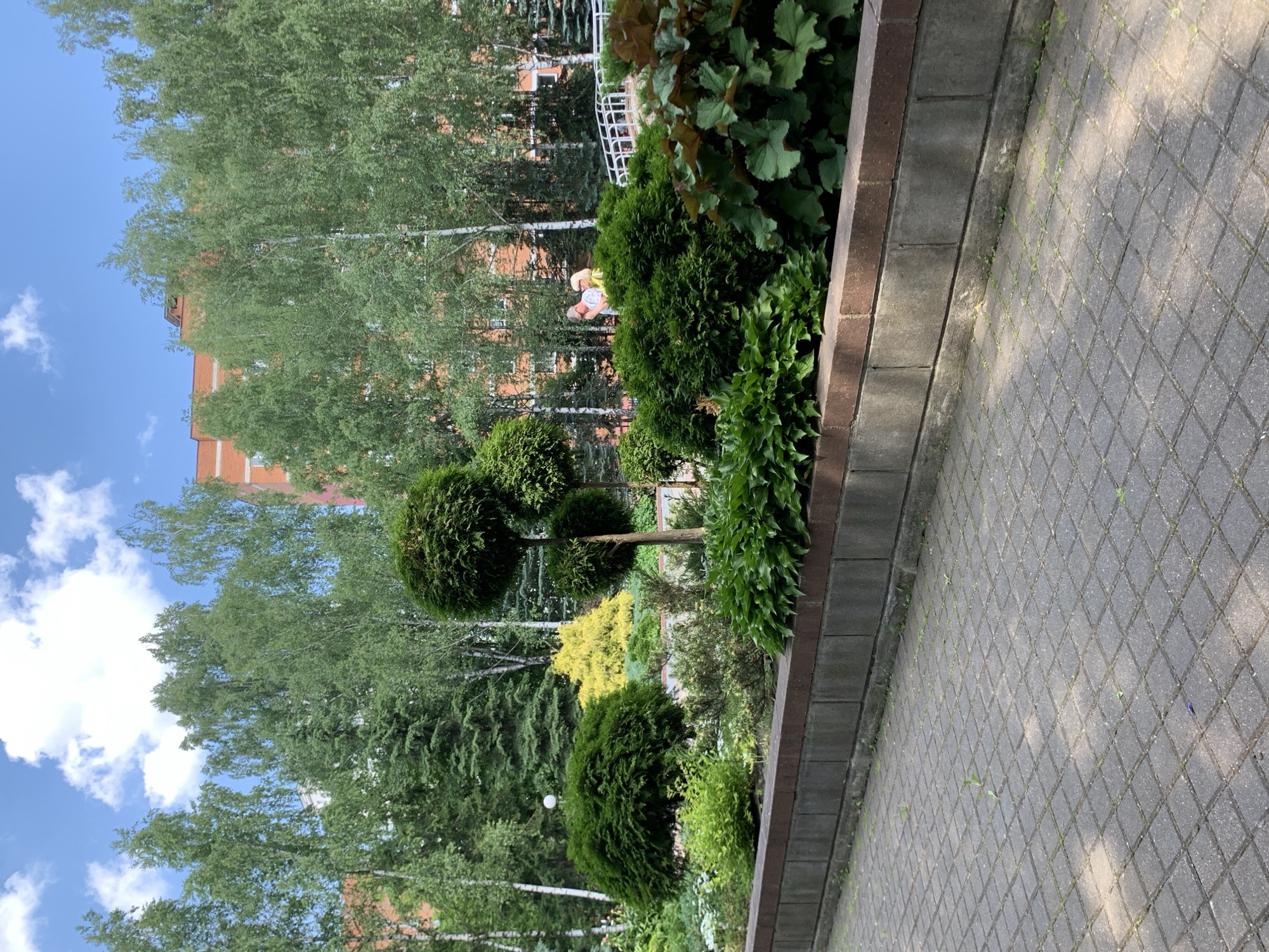 An outdoor shot shows a paved walkway leading to a raised garden bed filled with various plants, including topiaries, bushes, and large-leafed plants. In the background, a row of birch trees stands in front of a red brick building with white trim. Two individuals, a man and a woman, are visible in the distance, standing near a white railing and a bridge. The sky is blue with scattered white clouds. The scene appears to be a park or public space in the city of Minsk, Belarus.