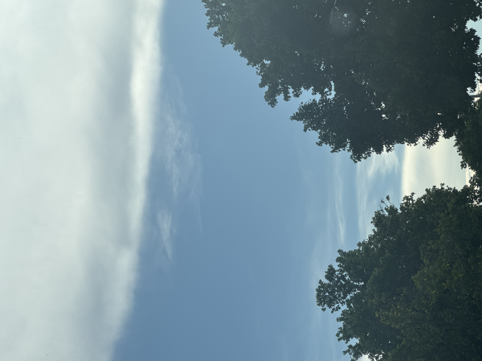 The image shows a view of the sky with trees in the foreground, taken outdoors. The sky is predominantly blue with some white and gray clouds, particularly a prominent band of clouds stretching horizontally across the upper portion of the image. On the left and right sides of the frame, the dark green foliage of trees extends upwards from the bottom edge, partially obscuring the sky. The trees appear full and leafy. The scene evokes a natural outdoor setting, possibly a park or an area with significant tree cover. There are no people or specific landmarks visible to indicate a precise location within Plovdiv, Bulgaria.
