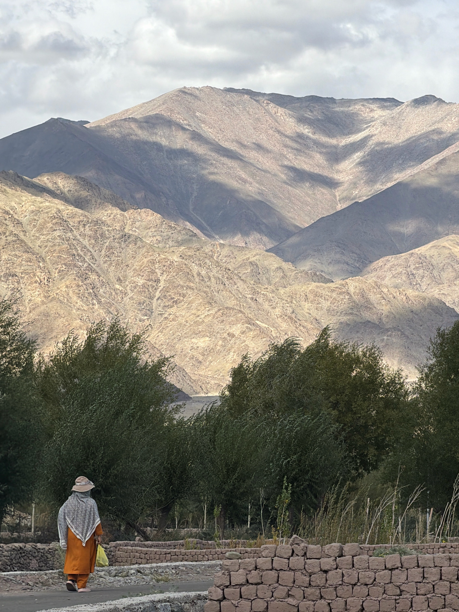 The image depicts a person in an orange robe and headscarf walking away from the camera on a path in Yuluk, India. The person carries a yellow bag in their left hand. In the foreground, there are low walls constructed from rough stones and bricks, with dry grass and thin branches visible behind them. To the left and right of the path are dense trees with green foliage, some of which appear to be swaying. In the background, a vast mountain range dominates the scene, with textured slopes marked by dramatic shadows and highlights, suggesting a late afternoon or early morning sun. The sky above the mountains is filled with cloudy, grey tones.