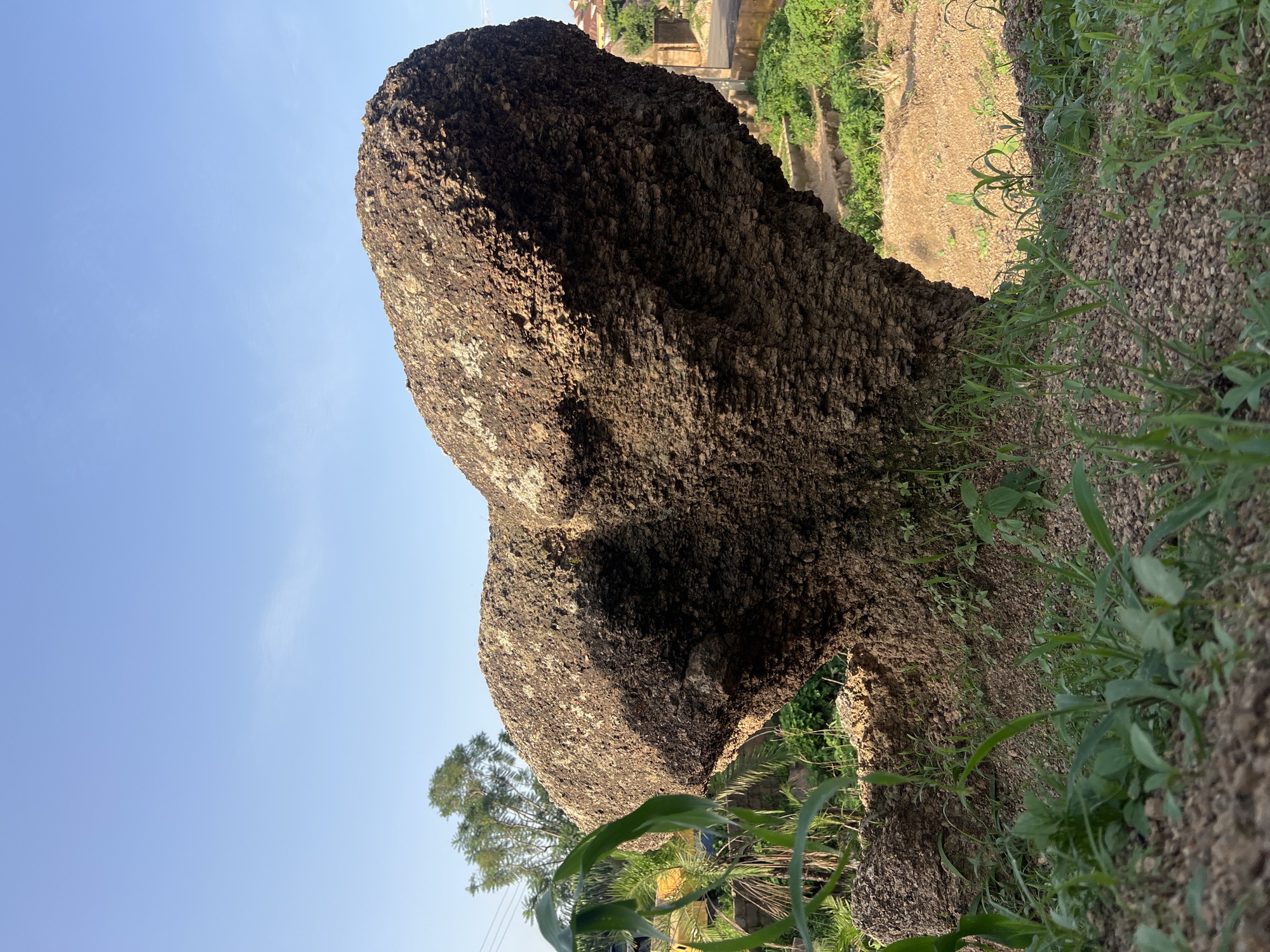A large, rough-textured boulder dominates the foreground of this image, casting a shadow. The boulder is dark brown and appears to be composed of many smaller, irregular pieces. To the right of the boulder, lush green grass and other vegetation grow from a gravelly ground. In the background, a rural scene unfolds with buildings and greenery under a clear blue sky. The sunlight suggests it is daytime, possibly late afternoon given the long shadows. The overall impression is of a natural landscape with signs of human habitation in the distance. The image is oriented sideways, requiring rotation for a standard view.