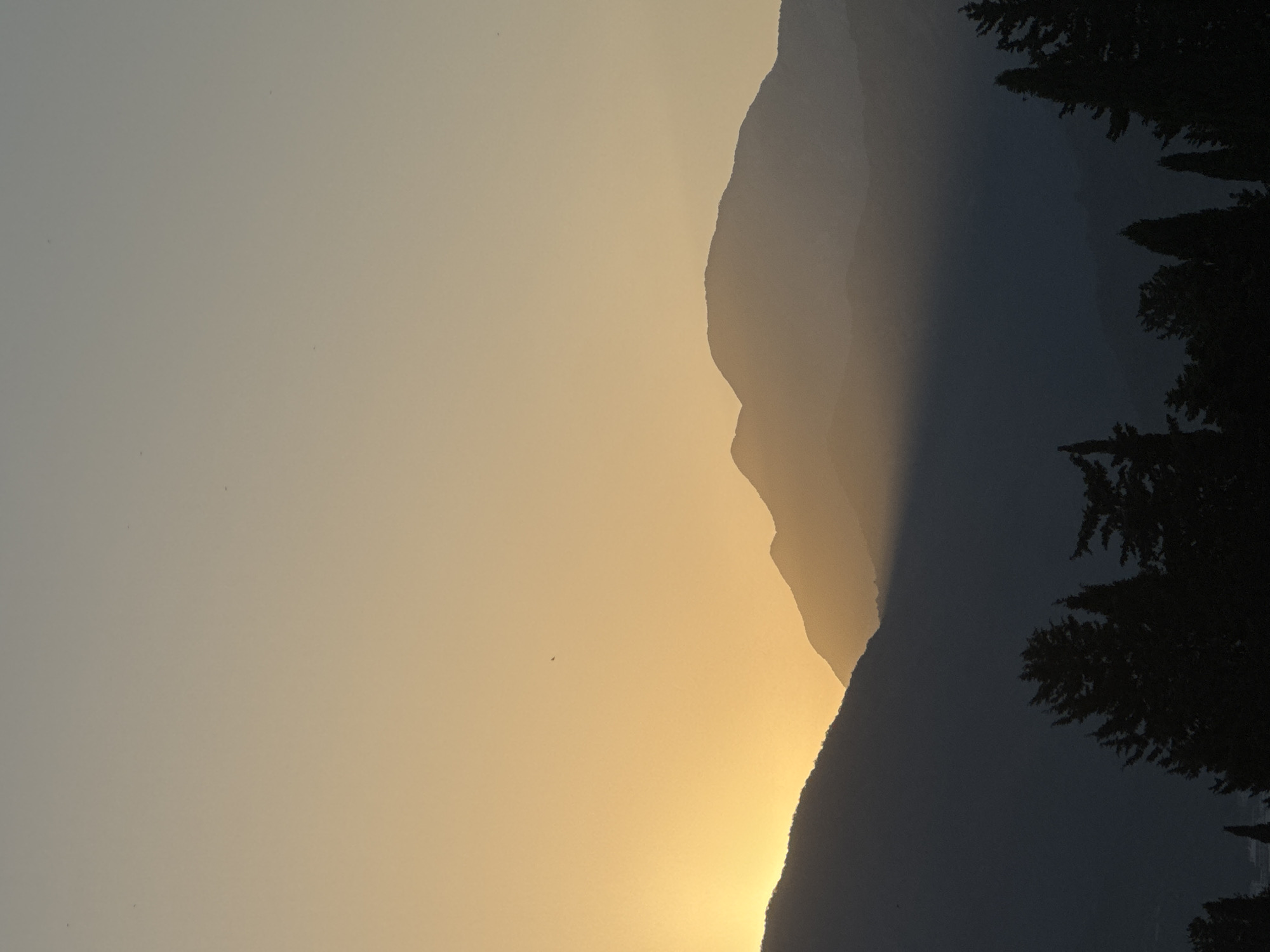 A vertical, full-frame photograph captures a mountain range at dusk. The sky is a gradient of pale yellow at the horizon, transitioning to a light gray at the top. Several peaks are silhouetted against the sky, with the setting sun casting a bright yellow glow behind the leftmost mountain. The foreground features the dark silhouettes of various trees, including cypress trees, clustered at the bottom of the frame. The overall scene is serene and natural, with no signs of human activity or man-made structures. The location is identified as Unknown, Unknown.