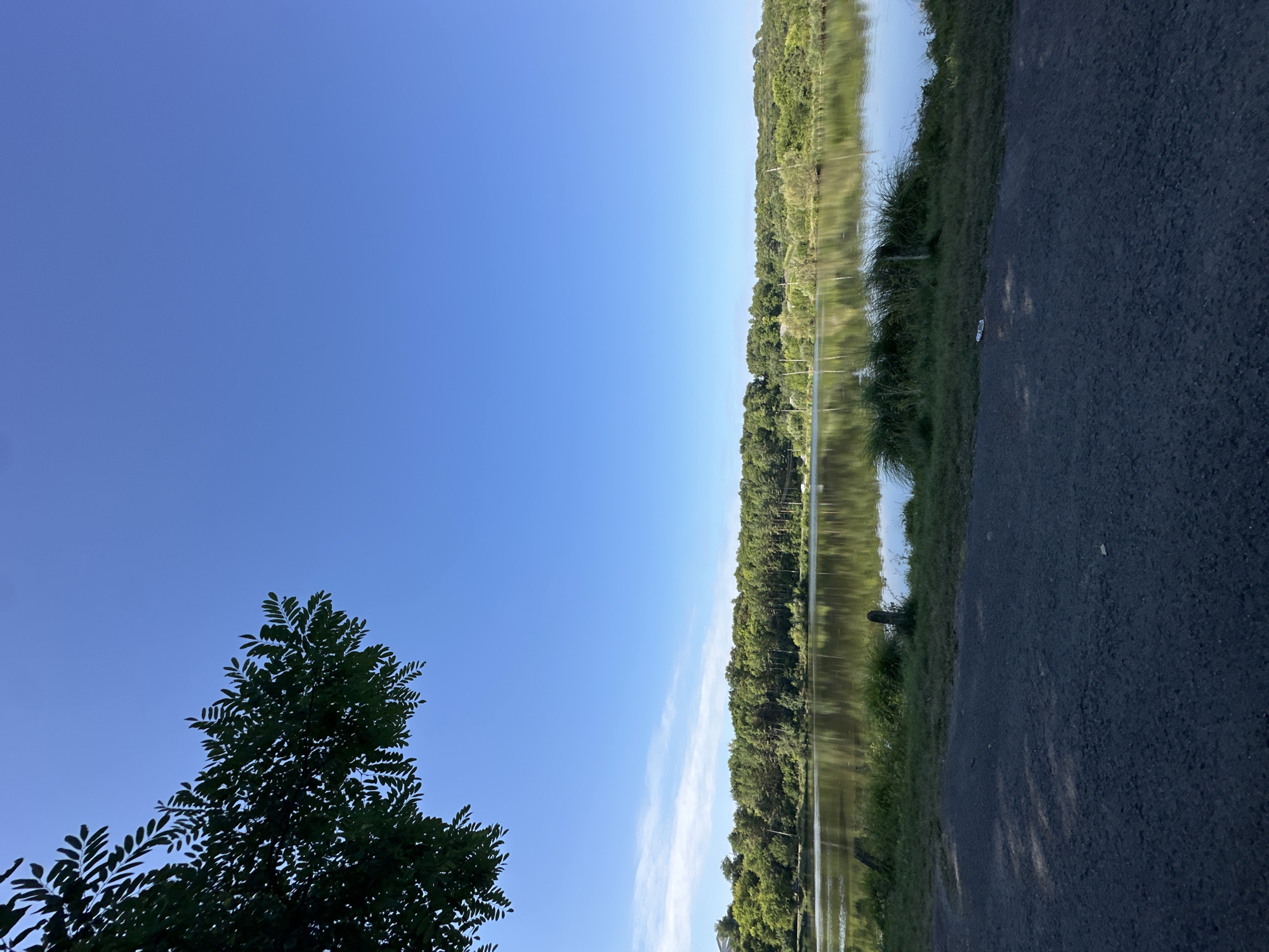 The image depicts a tranquil natural scene on a clear day, likely in or near the city of Makiv, Ukraine. The foreground features a dark asphalt path, casting dappled shadows from an unseen tree on the left. Beyond the path, a grassy embankment leads down to a calm body of water. A few short, dark posts are visible in the grass and shallow water. Across the lake, a dense line of lush green trees forms the horizon, their reflections mirrored on the water's surface. The sky above is a vibrant, cloudless blue. The scene evokes a sense of peaceful seclusion and natural beauty.