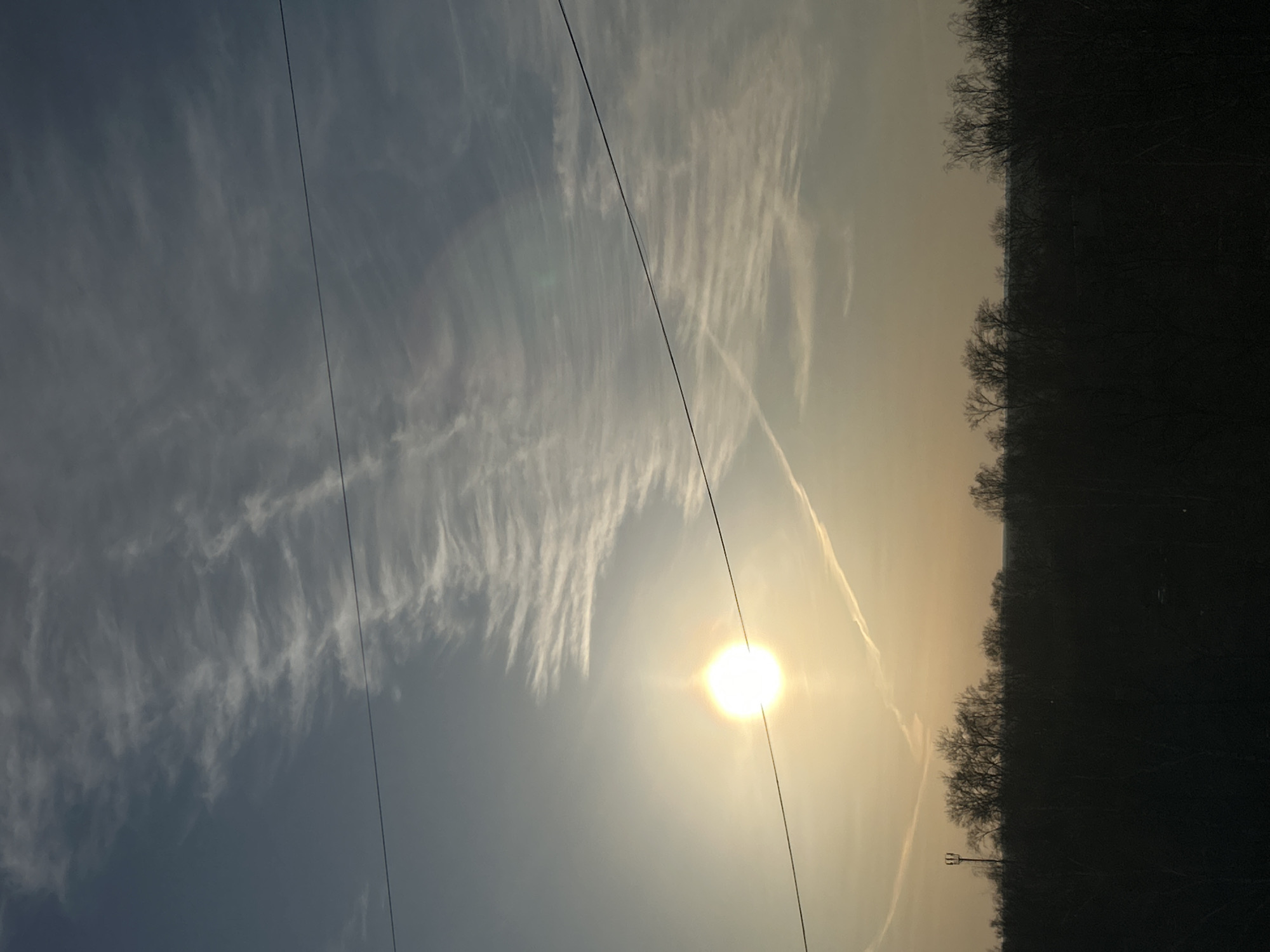 A serene landscape photograph captures a vast sky above a dark tree line, indicative of Chaikovsky, Russia. The sky dominates the upper portion of the frame, showcasing a striking gradient from a cool blue-gray on the left to a warm, golden yellow-orange on the right. Wispy, elongated clouds, characteristic of cirrus formations or contrails, streak across the expanse, especially in the upper-left and central areas. A distinct, straight contrail extends diagonally from the upper-right towards the middle-left.
A brilliant, white-yellow sun, accompanied by a noticeable lens flare, is prominently positioned in the upper-right quadrant, bathing the right side of the scene in a soft, diffused glow. Two thin, dark wires, likely power lines, traverse the sky diagonally from the upper-left to the bottom-right, intersecting the sun.
The bottom section of the image features a dark, silhouetted tree line or forest, stretching across the horizon. The trees appear bare, suggesting either late autumn or winter. Amidst these trees on the lower-right, a faint, dark silhouette of a pole or transmission tower with cross arms is visible.
The low angle of the sun and the warm light suggest either sunrise or sunset. The overall atmosphere is tranquil and contemplative. No people or visible text are present in the image.