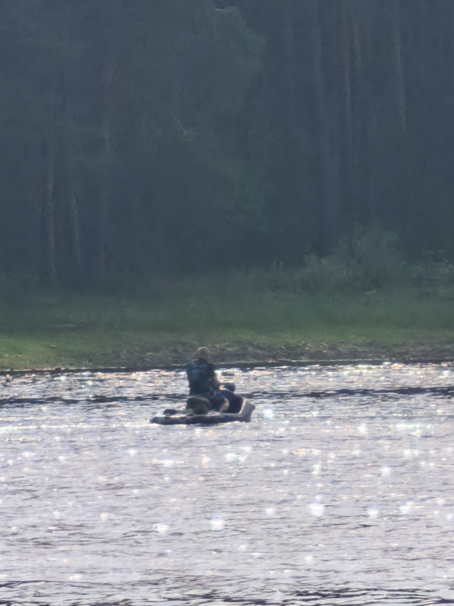 The image shows a serene natural scene with two people in a small boat on a body of water. The water is shimmering with sunlight, suggesting it is daytime, likely morning or late afternoon due to the soft lighting and the dark shadows of the trees in the background. The background is dominated by a dense forest, indicating a wooded or wilderness area. The trees appear tall and close together, creating a dark, somewhat mysterious backdrop against the bright water.
The boat, a light-colored vessel, is positioned in the middle ground of the image. One person is visible standing in the boat, wearing a patterned shirt, and seems to be engaged in an activity, possibly fishing or maneuvering the boat. Another person's head and shoulders are visible in the boat, slightly in front of the standing individual. They are wearing a blue garment. The overall mood of the image is peaceful and tranquil, with the sparkling water and the quiet presence of the people suggesting a moment of calm enjoyment of nature. The location context of Sysert, Russia, implies a setting in a natural landscape characteristic of that region, possibly a lake or a slow-moving river. There is no visible text in the image.