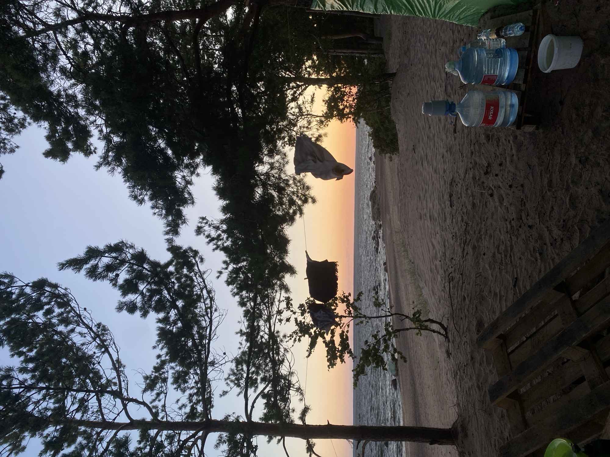The image depicts a beach scene at sunset in Baltiiskoe, Russia. Tall pine trees frame the view of a tranquil sea and sandy shore. Two pieces of dark fabric are suspended on a clothesline strung between trees, with a smaller tree situated in front of them. In the foreground, two large water bottles with dispensers are placed on a wooden pallet, accompanied by a white bucket. The sand is marked with footprints and debris, suggesting a campsite or a place of rest. The sky displays a gradient of soft hues from the setting sun, transitioning from warm orange to a pale blue.