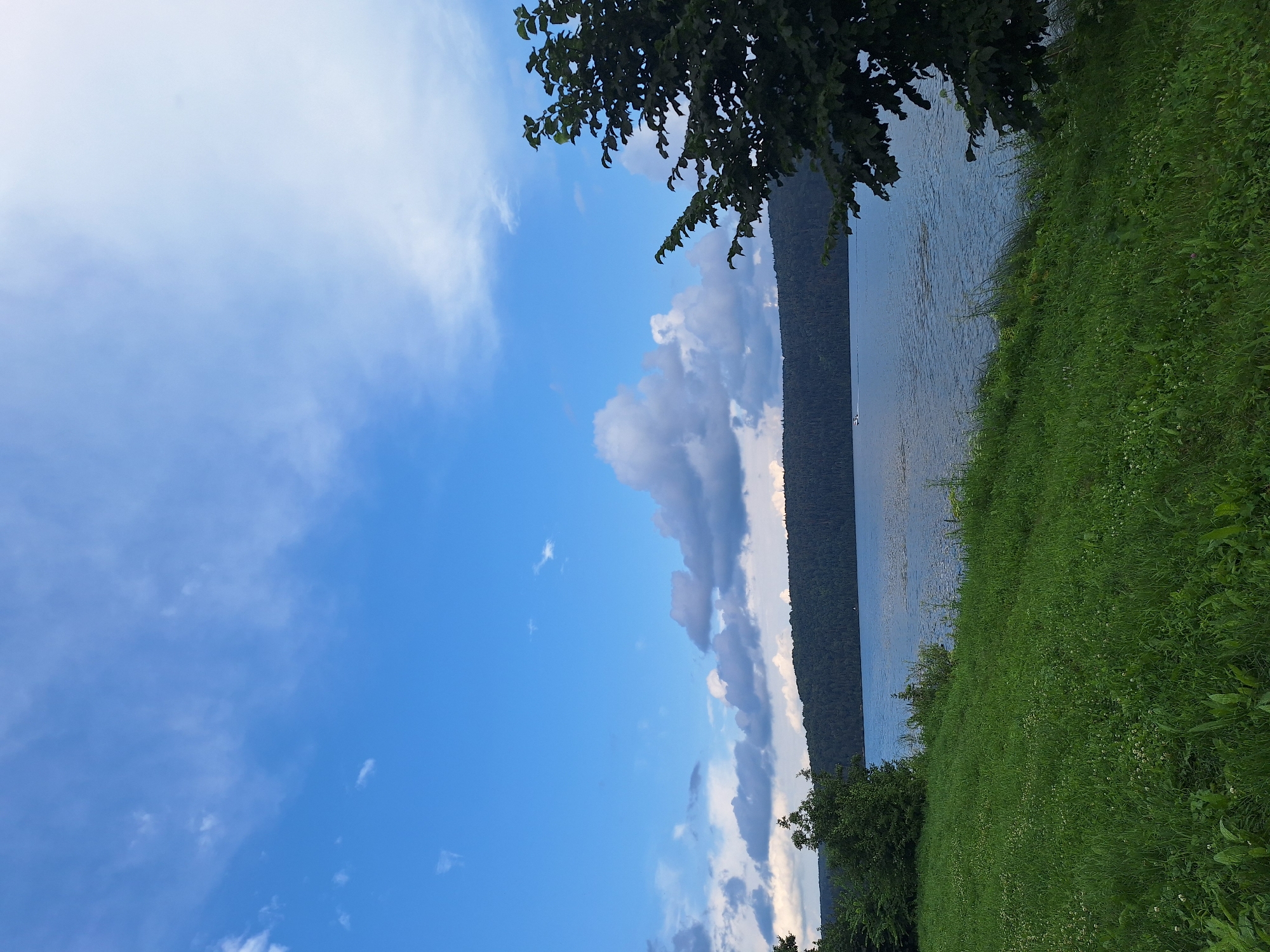The image depicts a serene natural landscape with a body of water, lush green grass, and a forest-covered hill in the distance. The sky is a vibrant blue, dotted with scattered white clouds. On the water, a small white boat is visible, suggesting a peaceful recreational activity. The foreground is dominated by a field of tall, green grass, interspersed with small white wildflowers. The trees on the left side of the image frame the scene, while a large, leafy tree occupies the right side. The overall impression is one of tranquility and natural beauty. The location is identified as the city of Atamanovka, Russia.
