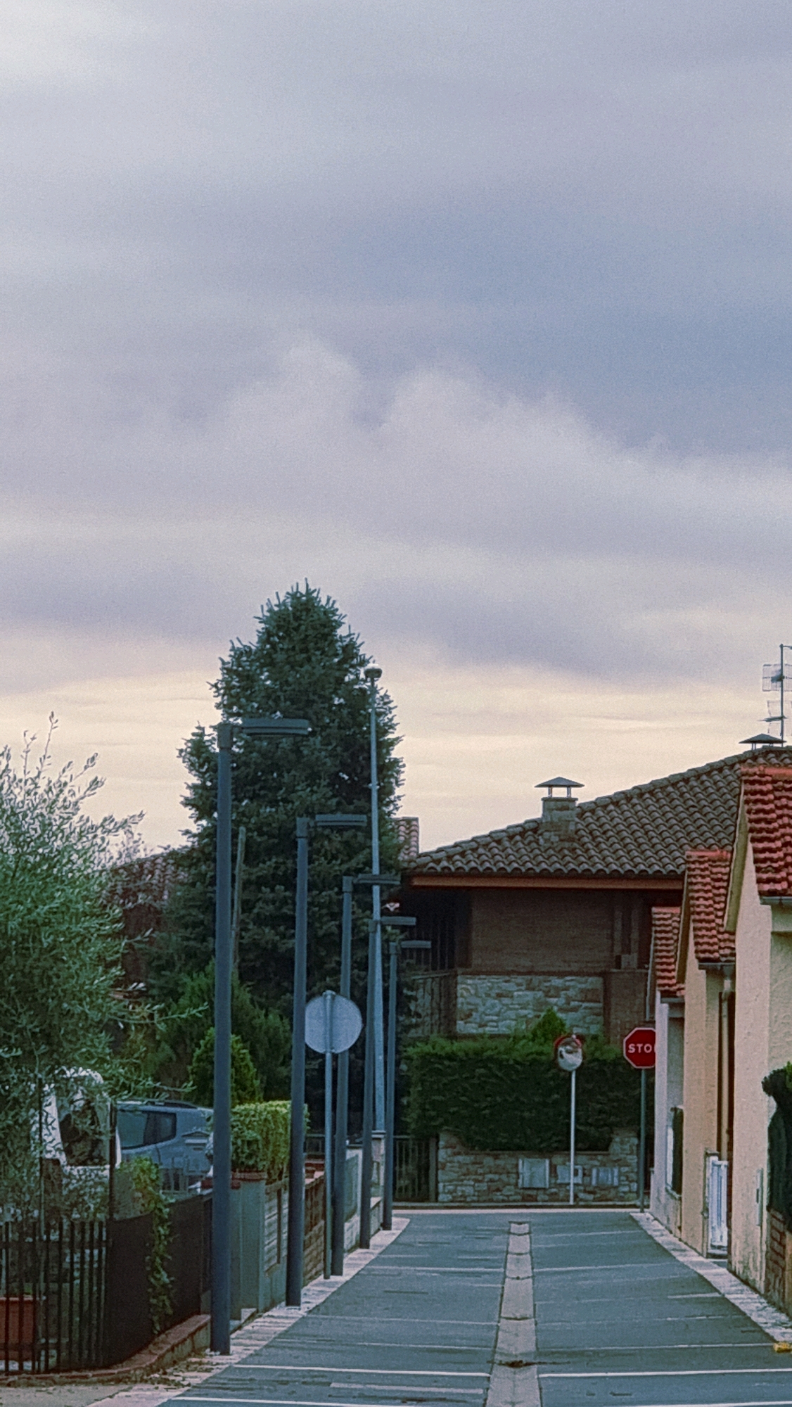 The image depicts a residential street in Sant Joan Les Fonts, Spain. The perspective is from a low-angle, looking down the asphalt road which is marked with a central concrete divider and white lines. Several tall, slender streetlights stand along the left side of the road. A large evergreen tree dominates the mid-ground, partially obscuring the view of houses behind it.
On the right side of the street, houses with tiled roofs are visible. One house features a brown tiled roof and a stone facade. Further down the street, another house with red tiled roofing and cream-colored walls is seen. A prominent octagonal red stop sign is mounted on a pole to the right of the road.
To the left of the road, a metal fence encloses a property with a green hedge and a dense olive tree. A dark-colored vehicle is parked behind the fence. The sky is overcast with a muted, cloudy gray appearance. The overall impression is a quiet, suburban street on a cloudy day.
