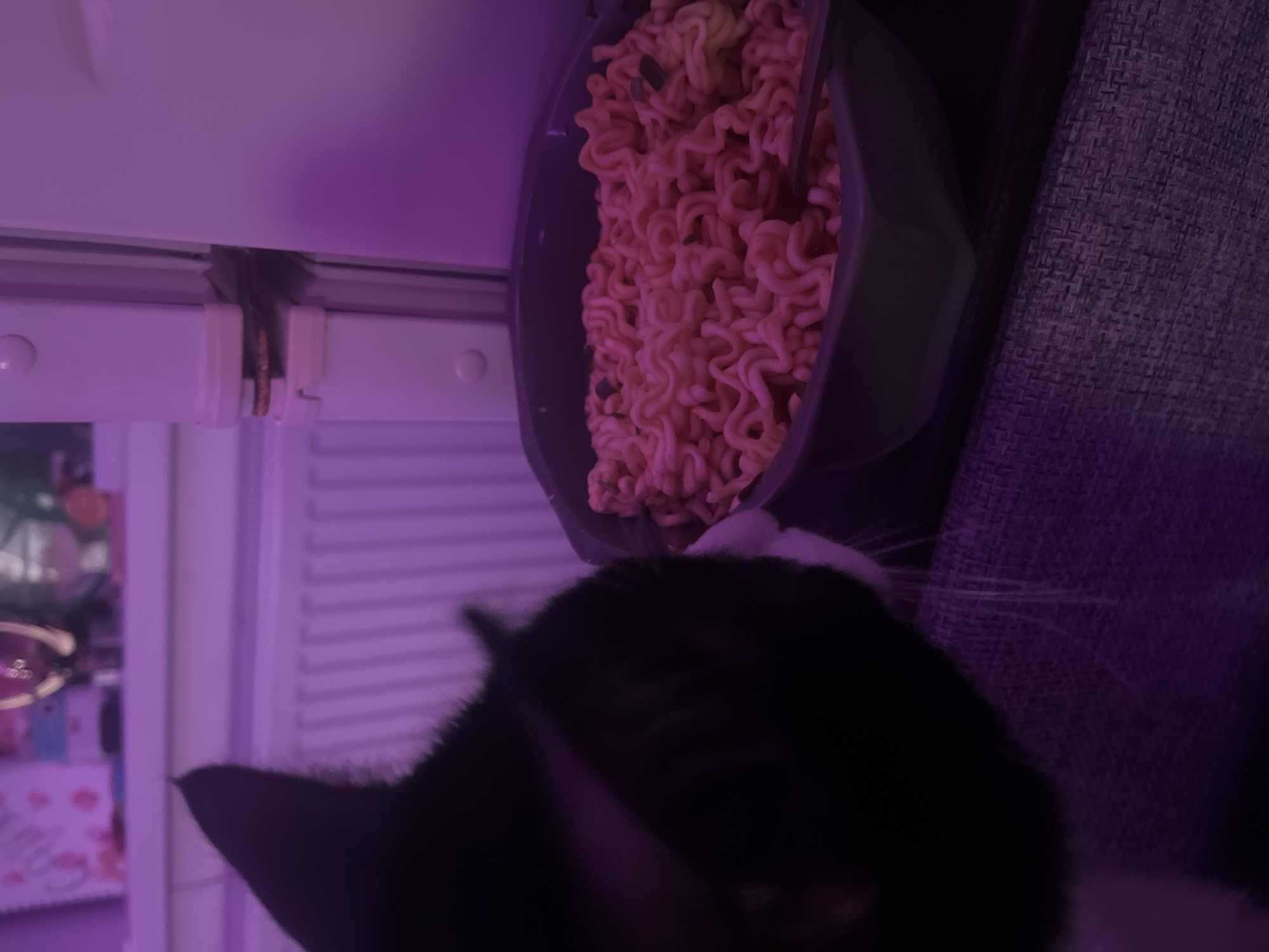 This image captures an indoor scene dominated by a black and white cat and a bowl of uncooked instant ramen noodles, all bathed in a strong purple artificial light. The original image appears to be rotated 90 degrees counter-clockwise.
The main subject is a domestic cat, seen from behind and slightly to the side, with its head turned towards a bowl of food. Its fur is predominantly black, with some white visible around its muzzle and chest area, and its white whiskers are noticeable. The cat appears to be curiously observing or sniffing the contents of the bowl.
The central object is a dark-colored bowl filled to the brim with uncooked, pale orange-pink instant ramen noodles, characterized by their wavy, curly structure. A utensil, possibly chopsticks, is partially visible embedded within the noodles. The bowl itself has a distinctive, angular design.
In the background, on the left side of the frame (which would be the top if the image were correctly oriented), white window blinds or a similar structural element are visible. Further left and blurrier, some festive lights or decorations can be seen. On the right side of the frame, behind the cat and bowl, a textured dark grey or purple fabric, likely part of a couch or armchair, provides a soft backdrop.
The activity depicted is the cat's engagement with the ramen, suggesting a moment of curiosity or perhaps an attempt to sample the human food. The consistent purple lighting creates a distinct, somewhat atmospheric or playful mood, implying either a nighttime setting or intentional mood lighting within a home. There is no visible text in the image.