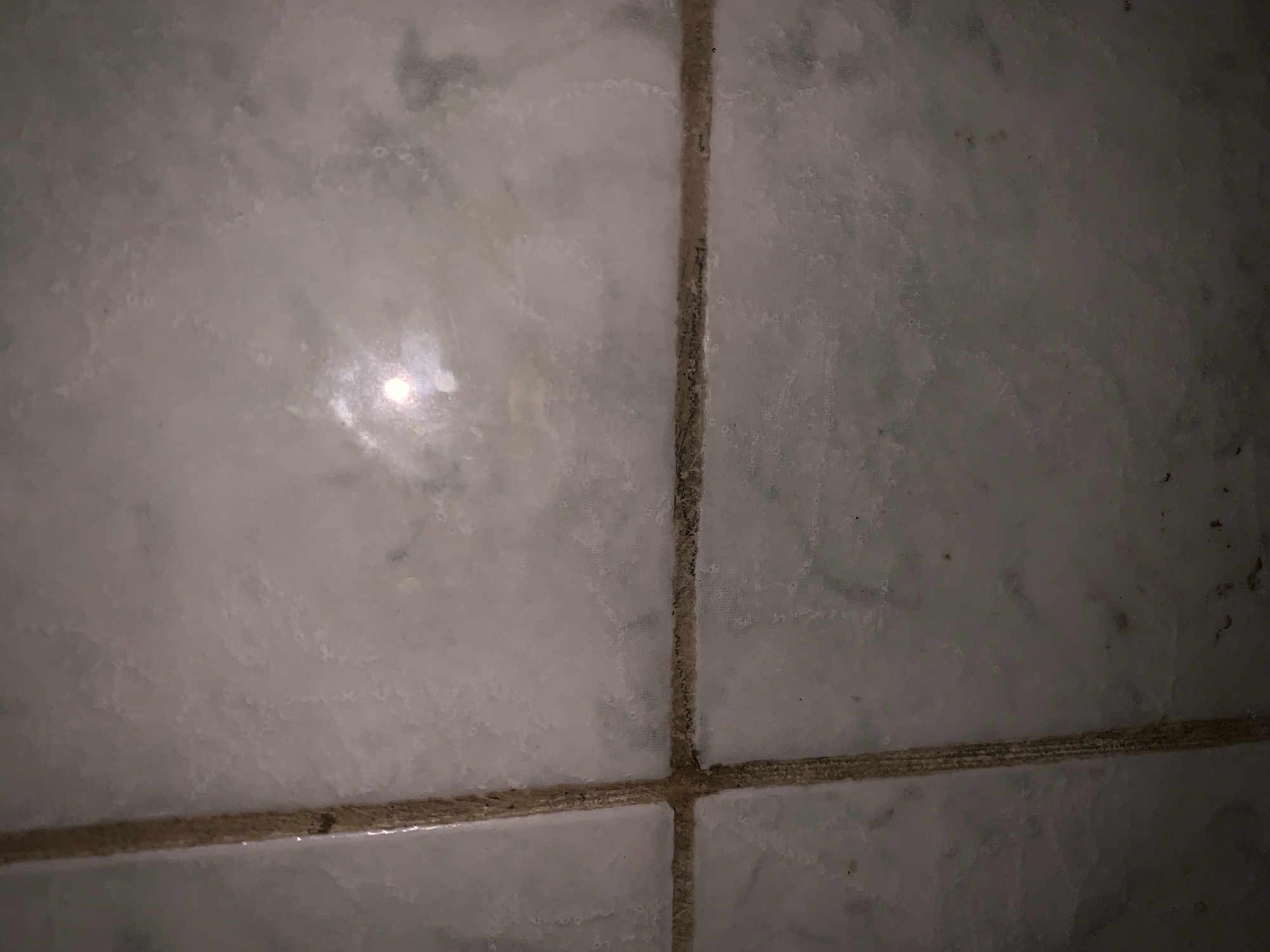 The media file presents a close-up view of a tiled surface, likely an interior wall or floor. The scene features light-colored, possibly marble or ceramic, square tiles.
The tiles are predominantly off-white or light gray, exhibiting subtle, darker gray veining or cloud-like patterns. A distinctive characteristic across the tile surfaces is the presence of numerous small, often circular or irregular, light-colored spots, which could be indicative of water marks, mineral deposits, or efflorescence. Some darker specks and minor stains are also visible on the tile surfaces.
The grout lines separating the tiles are a prominent feature, appearing dark brown to black in contrast to the lighter tiles. These grout lines show signs of discoloration, wear, and possible accumulation of dirt or mildew, particularly at the intersections.
A bright, circular reflection of a light source is visible on the upper-left tile in the original image, suggesting a somewhat reflective or damp surface under artificial lighting. No people, specific activities, or visible text are present in the image. The time of day and weather are not discernible. While the location context is Santa Ana, Venezuela, the visual content itself does not provide specific cues to this geographical location beyond being a typical tiled surface. The overall impression is of a surface that could benefit from cleaning or maintenance.