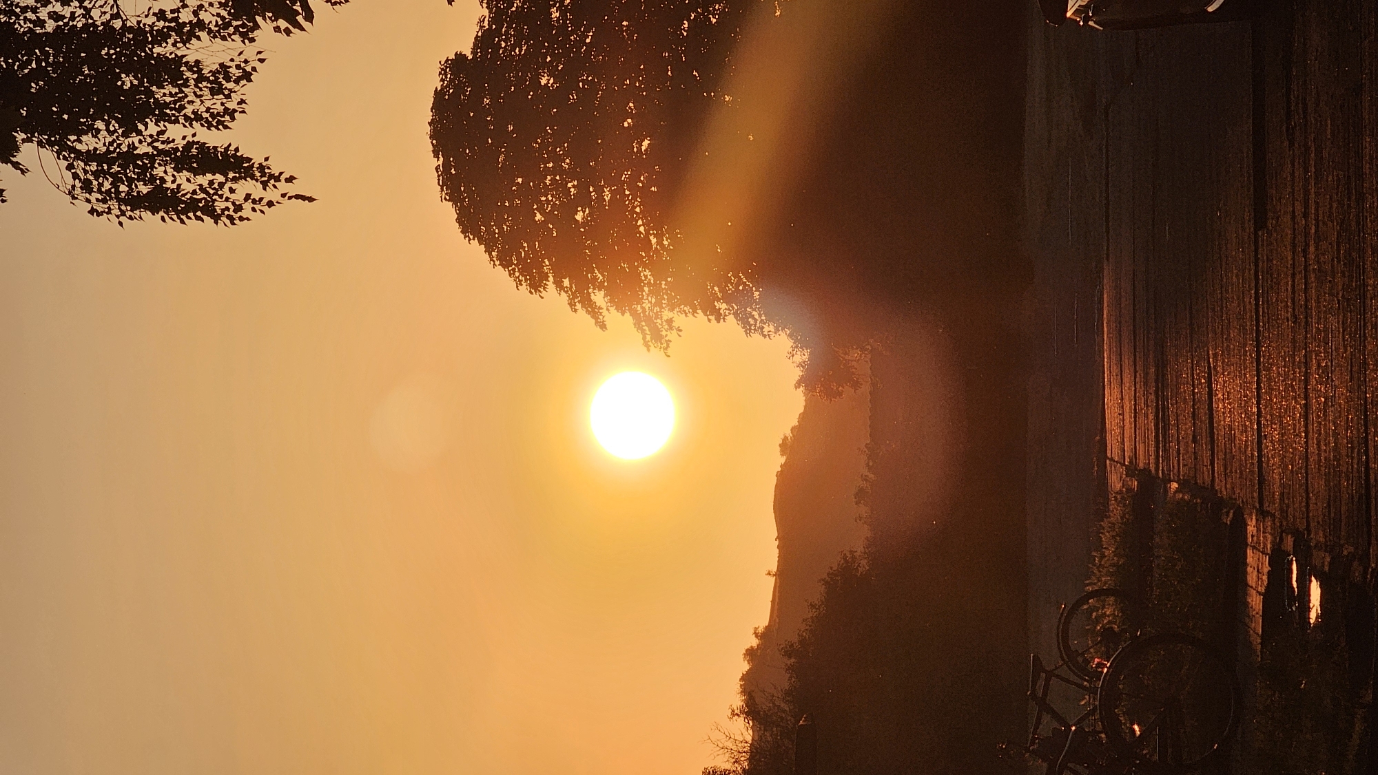 This is a vertical, medium shot photograph taken during sunrise in Roßleben, Germany. The sun, a bright white disc, is positioned in the upper center of the frame, casting warm orange and yellow light across the sky and landscape. The foreground features a wooden pathway with a wet, reflective surface, suggesting recent rain. To the left, two bicycles are parked, their dark silhouettes contrasting with the light. Beyond the pathway, a low bush is visible. In the mid-ground, rolling hills are silhouetted against the brightly lit sky, with some trees and vegetation scattered across them. To the right of the sun, a large tree with dense foliage dominates the frame, with sunbeams filtering through its leaves, creating a dramatic visual effect. The upper right corner of the image shows dangling tree branches, adding to the natural setting. The overall atmosphere is serene and warm, typical of an early morning in a rural or semi-rural area.