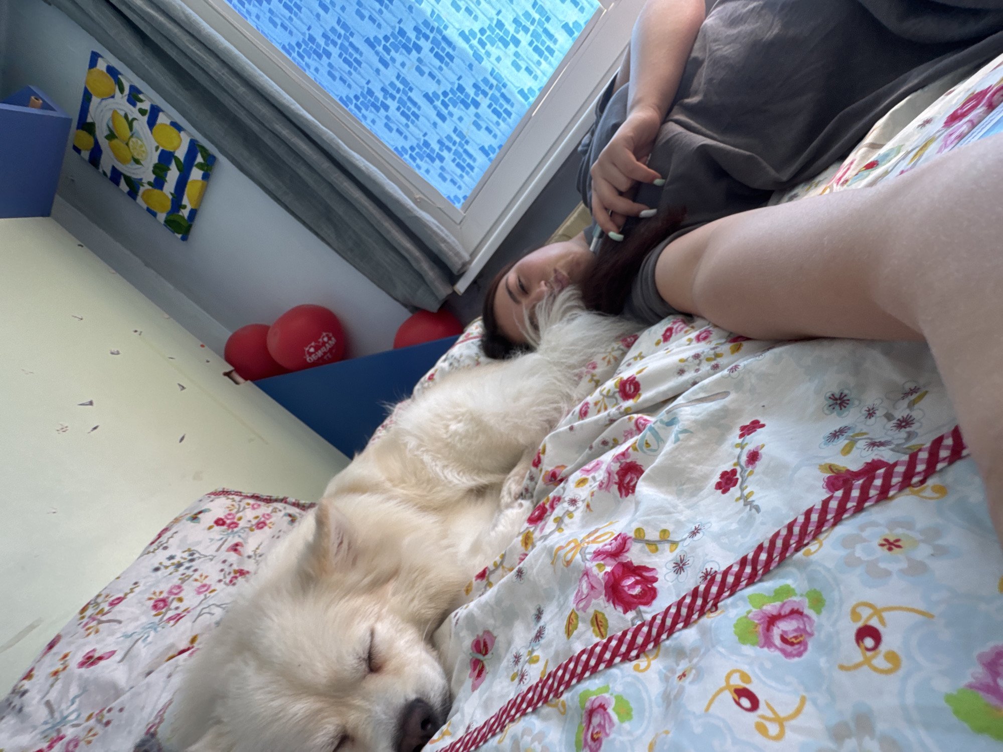 A person and a dog are lying on a bed in a room with a window. The person, a young woman, is wearing a gray shirt and has long, dark hair. She has light green nail polish. The dog is a large, fluffy white dog and appears to be sleeping. The bed has a floral-patterned bedspread with a red and white striped border. The room has light green walls and a blue window frame. There is a painting of lemons hanging on the wall. There are also several red balloons in the background. There is no indication of location in Sofia, Bulgaria.