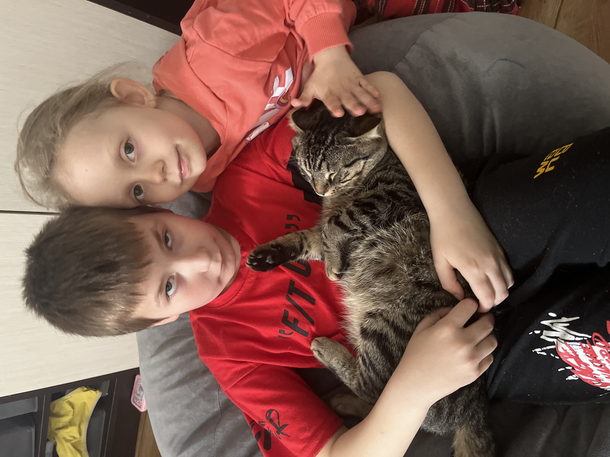 Two children, a girl and a boy, are lying on a gray cushioned surface. The girl is wearing a coral-colored hooded sweatshirt. The boy is wearing a red t-shirt with a black design. A tabby cat lies on the boy's chest, held by both children. The boy has a dark short haircut. The girl has blonde hair. The location is unknown and cannot be determined from the image.