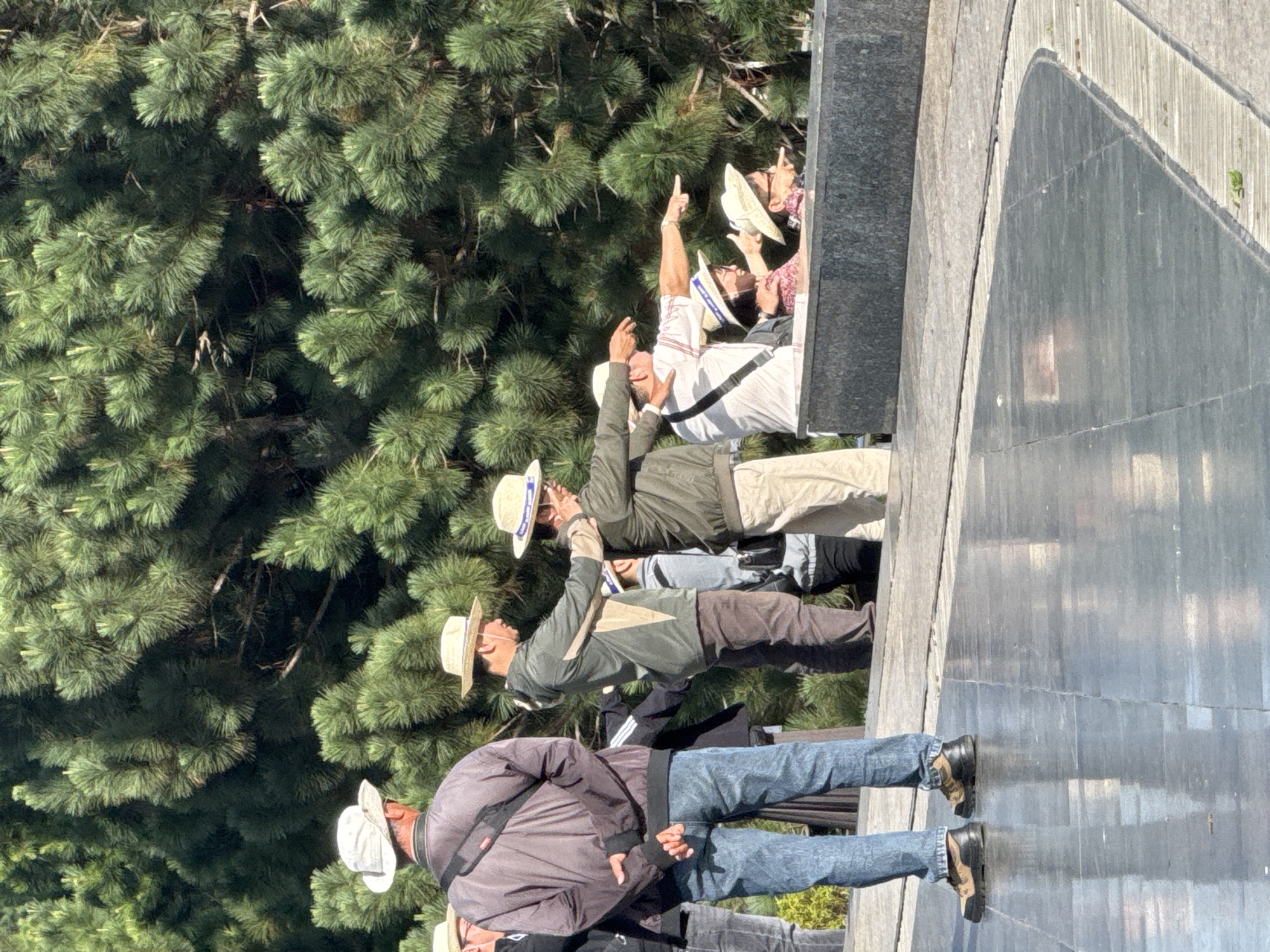The image shows a group of people standing outdoors, facing away from the camera and towards a large evergreen tree. Most of the individuals are wearing straw hats. The people appear to be pointing in the same direction, suggesting they are observing something or participating in a guided tour. The foreground features a polished stone surface with reflections. The background consists of dense green foliage. Based on the attire and the presence of a guide likely explaining something, this scene is indicative of a tour group at the Bao Dai Summer Palace in Da Lat, Vietnam, a historical site known for its lush gardens and preserved architecture, where visitors often engage in guided explorations.