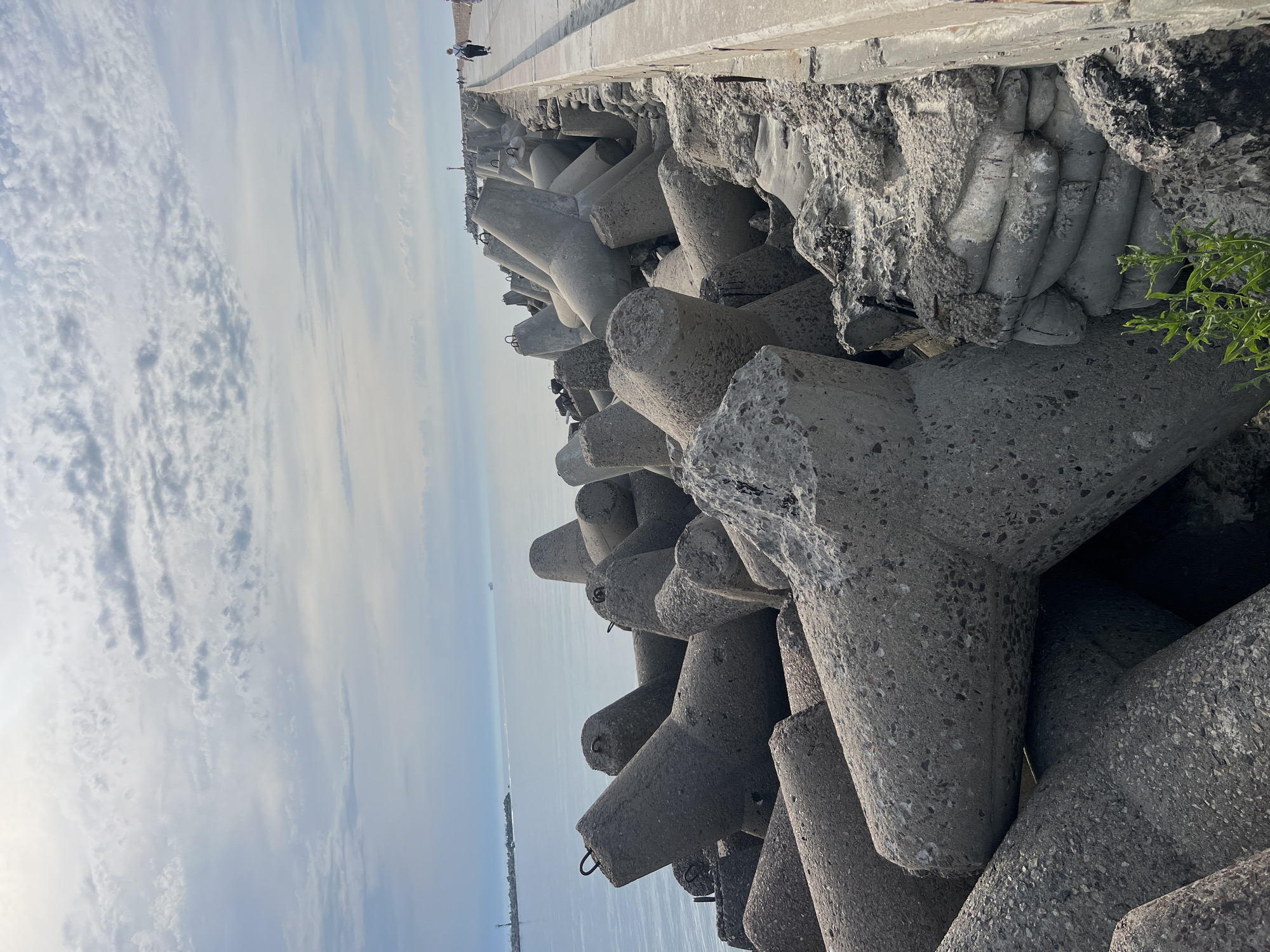 The image shows a concrete breakwater in Baltiysk, Russia, along the coast of the Baltic Sea. The breakwater is constructed from large, interlocking concrete tetrapods, some of which are weathered and damaged. A concrete walkway runs alongside the breakwater, and a few individuals are seen walking along it in the distance. The sea is calm, with a few distant ships visible on the horizon. The sky is partly cloudy, with a bright sun illuminating the scene. Green vegetation is growing at the base of the breakwater in the foreground.