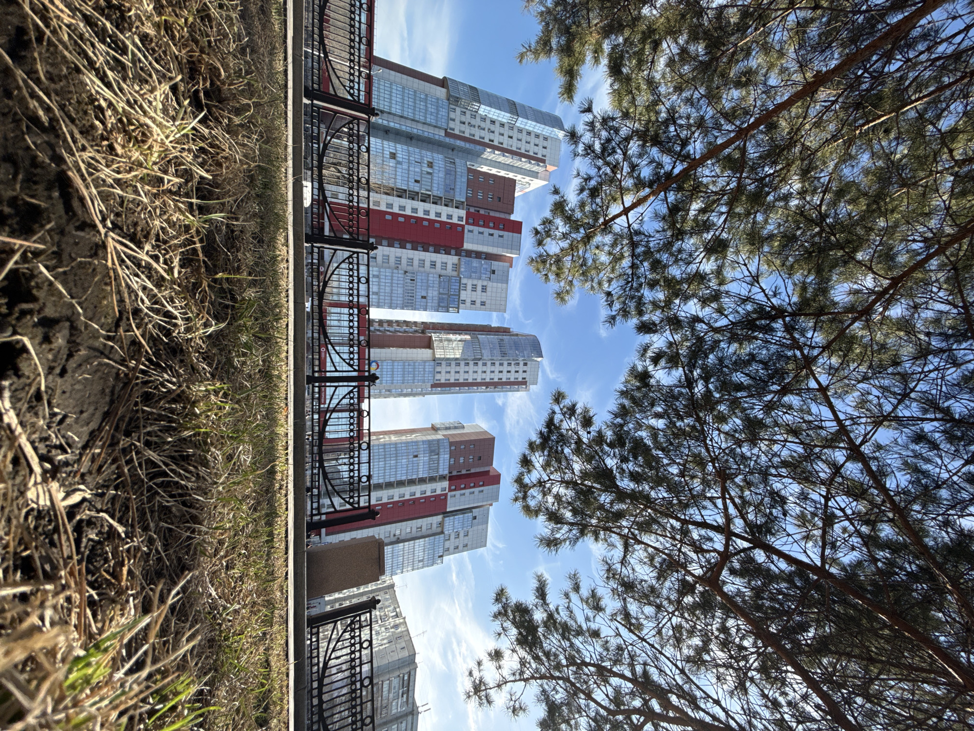 The image shows a low-angle view of several tall, modern buildings in what is likely a cityscape. The buildings are primarily white and gray, with some sections colored red and other warm tones. The architecture features glass facades and stacked, geometric shapes. A decorative black metal fence runs along the bottom left of the image, separating the buildings from a patch of dry grass and soil.
To the right, branches of evergreen trees are visible against a bright blue sky with scattered white clouds. The trees are bare in some spots, suggesting it might be late autumn or early spring.
Based on the architectural style and the presence of modern high-rise buildings, the location is identifiable as the city of Krasnoyarsk, Russia. The buildings are a contemporary design often found in urban centers undergoing modernization.