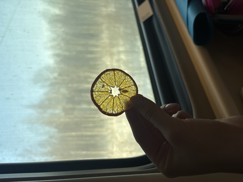 The scene depicts the interior of a moving vehicle, reportedly in Pervomaiskoe, Russia. A human hand, predominantly silhouetted, occupies the lower-left portion of the frame, holding a single, translucent slice of dried citrus fruit. The fruit, circular in shape and yellow-orange, is backlit, revealing its intricate segmented structure and a star-like void at its center. This object is held directly in front of a window, which features a dark frame and light brown interior paneling. Beyond the window, a blurred outdoor landscape is visible, characterized by vertical forms suggesting trees or a distant forest against a pale sky that transitions from light blue at the top to a diffused yellowish-white at the horizon. In the lower-right foreground, an out-of-focus teal-colored, oblong case or pouch is partially visible, resting on a light-colored surface, with a hint of pink fabric adjacent to it.
