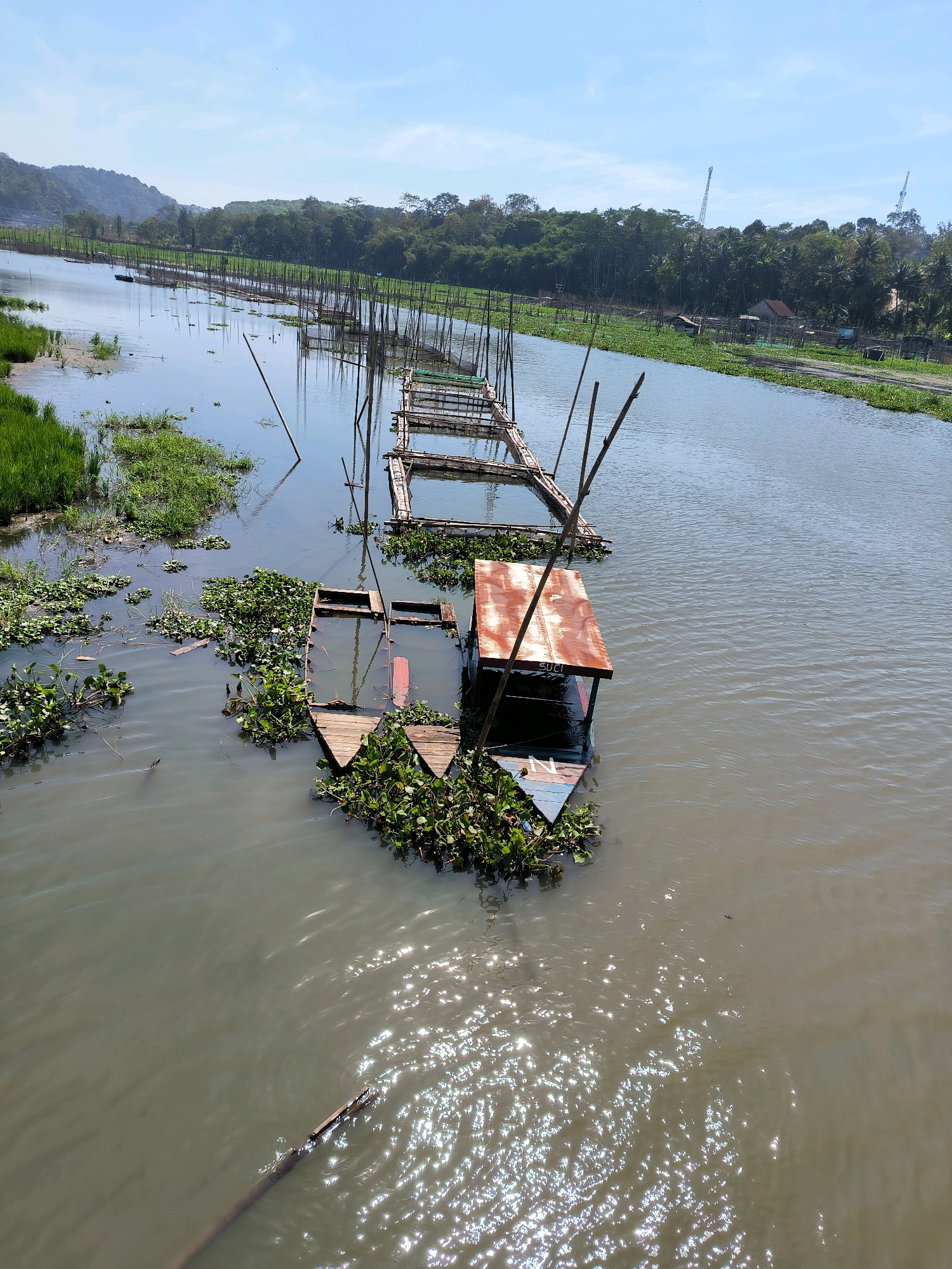 This aerial photograph depicts a body of water, likely a lake or river, in Tuntang, Indonesia. A partially submerged wooden boat, partially covered in aquatic plants, is the primary subject in the foreground. The boat has a rusted metal roof and the word "SUCI" is visible on its side. Extending into the water from the right and left are rows of bamboo structures, possibly fish farms or docks, supported by numerous wooden poles. The water is murky and reflects the sunlight, creating a shimmering effect. The background shows a lush green landscape with trees and vegetation, and in the distance, a hill or mountain range under a clear blue sky. There are no people visible in the image.