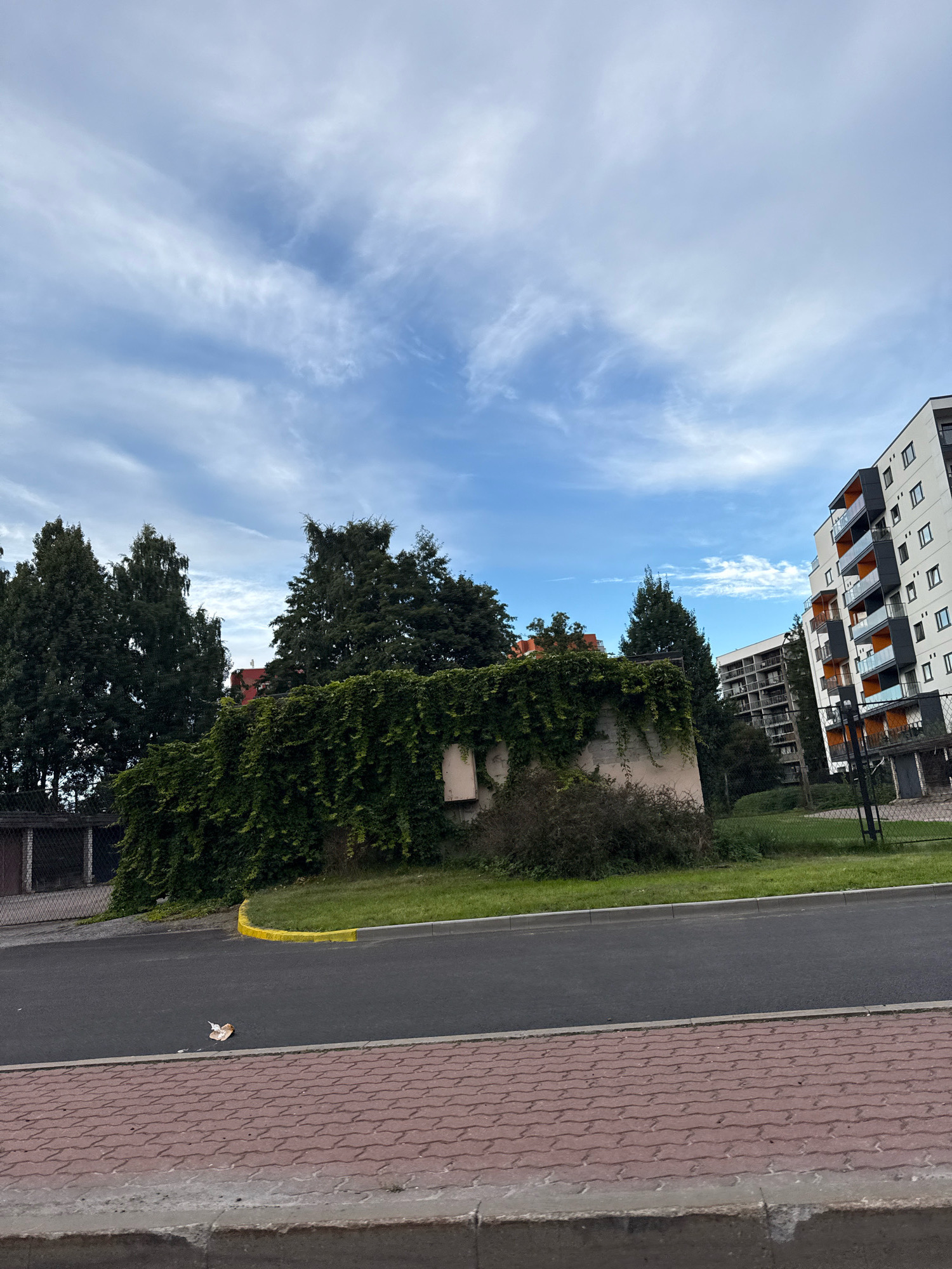 This is a medium-range, eye-level, outdoor, daytime shot looking towards a residential area in Tallinn, Estonia. The scene is dominated by a partly overgrown, light-colored concrete structure covered in green ivy. Behind this structure, tall, dark green coniferous trees are visible, with a hint of a red roof peeking through the foliage. To the right, a modern apartment building with white and dark grey facades and orange-accented balconies stands tall, featuring multiple floors with visible windows. Another, slightly smaller apartment building with a similar architectural style, but with more balconies, is visible behind the ivy-covered structure. The foreground shows a paved road, a strip of grass with a yellow-painted curb, and a sidewalk made of red interlocking pavers. A piece of white and brown paper debris is on the road. The sky above is a pale blue with wispy white clouds.