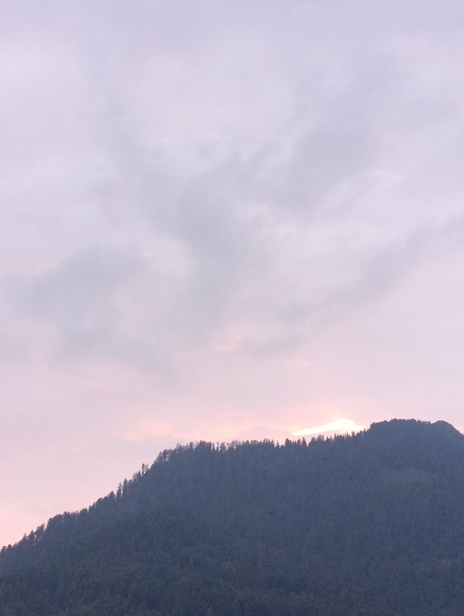 The image depicts a serene mountain landscape at dusk. The foreground is dominated by the dark silhouette of a densely forested mountain range, its slopes fading into shadow. The trees lining the ridge create a jagged, uneven skyline. Above the mountain, the sky is a soft gradient of pale pink and light purple, indicative of sunset or sunrise. Wispy clouds drift across the sky, adding texture and depth to the scene. A subtle glow of light is visible peeking from behind the mountain ridge, hinting at the sun's position just below the horizon. The overall mood is peaceful and tranquil, evoking a sense of natural beauty and quietude. There is no visible text in the image. The scene suggests a remote, natural setting, possibly in a mountainous region like Vashisht, India, given the provided location context. The time of day is clearly evening or early morning, characterized by the soft, diffused light and pastel colors in the sky. The weather appears calm, with no signs of harsh conditions.
