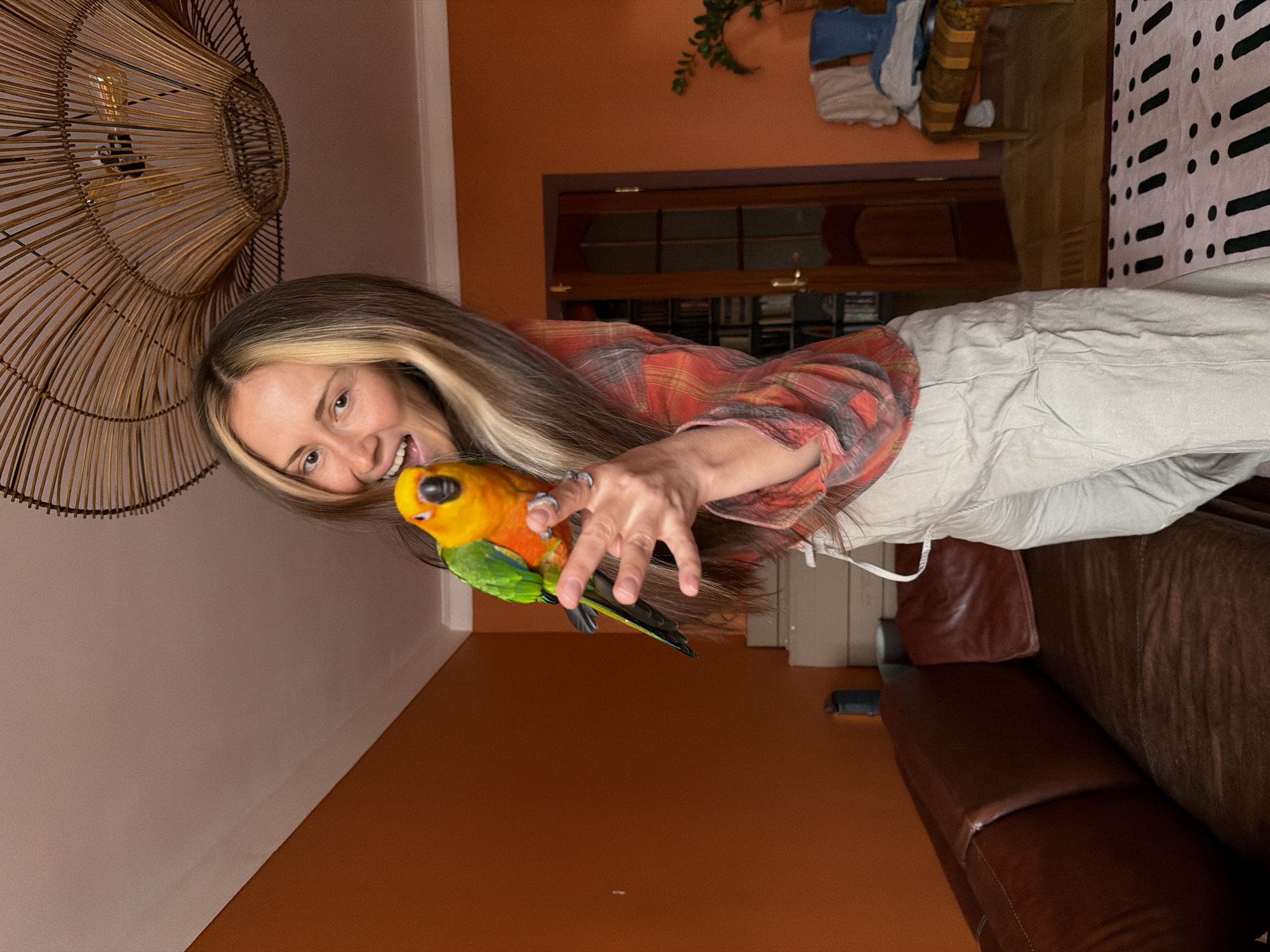 An indoor, brightly lit photograph captures a joyful interaction between a young woman and a colorful parrot. The woman, with long straight hair featuring blonde highlights, is positioned on the left side of the frame, smiling broadly towards the viewer. She wears a red and orange plaid long-sleeved shirt and light-colored trousers. Her right hand is extended, gently holding a vibrant parrot, likely a Sun Conure, which displays prominent yellow and orange plumage on its head and chest, transitioning to green on its back and wings. The parrot appears calm and is looking towards the woman's hand.
Above and to the left of the woman, a large, intricate wicker lamp shade with visible lightbulbs hangs, adding a natural or bohemian touch to the room's decor. The room features warm, terracotta-orange walls that meet a lighter upper wall and ceiling. In the background, a brown leather sofa is partially visible on the right, along with a wooden cabinet with glass doors, containing books and other items. Above the cabinet, a small green plant and some folded textiles are placed. Further to the right, a white textile with a black dotted and striped pattern is visible. The scene conveys a warm, domestic atmosphere. There is no visible text.