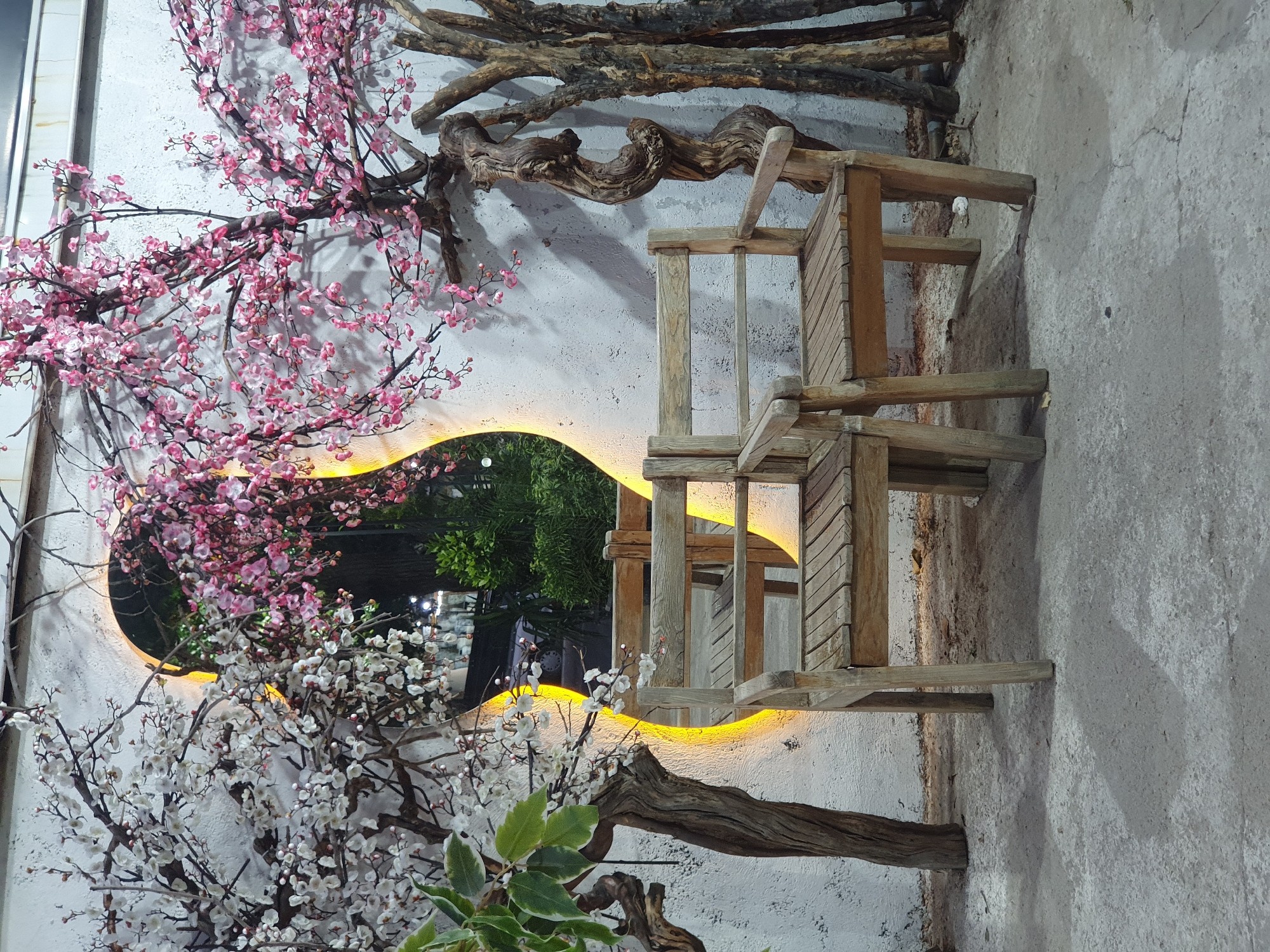 This media file depicts an indoor scene, likely a decorative display in Shiraz, Iran. The primary subjects are artificial cherry blossom branches, one with pink blossoms and another with white, artfully arranged against a textured, light-colored wall. Interspersed with the branches are pieces of driftwood, adding a rustic and natural element.
Dominating the right side of the frame is a rustic wooden chair, constructed from rough-hewn planks and beams. Its abstract, somewhat disheveled appearance suggests it's part of an artistic installation rather than a functional piece of furniture. Behind the chair and branches, a large, irregularly shaped mirror is embedded in the wall. The mirror reflects a dimly lit interior, with hints of greenery and what appear to be distant lights or streetlamps, suggesting an evening setting. A warm, yellow light emanates from behind the mirror, highlighting its edges and casting a glow on the surrounding wall.
There are no people visible in the image, and no specific activity is taking place. The scene evokes a sense of serene beauty and artistic expression, blending natural elements with a touch of whimsy through the chair and mirror. The overall aesthetic is one of creative landscaping or interior decoration, possibly within a cafe, restaurant, or public space. The rough texture of the wall and the natural materials used suggest a deliberate choice to create a textured, layered visual experience. No text is visible in the image.