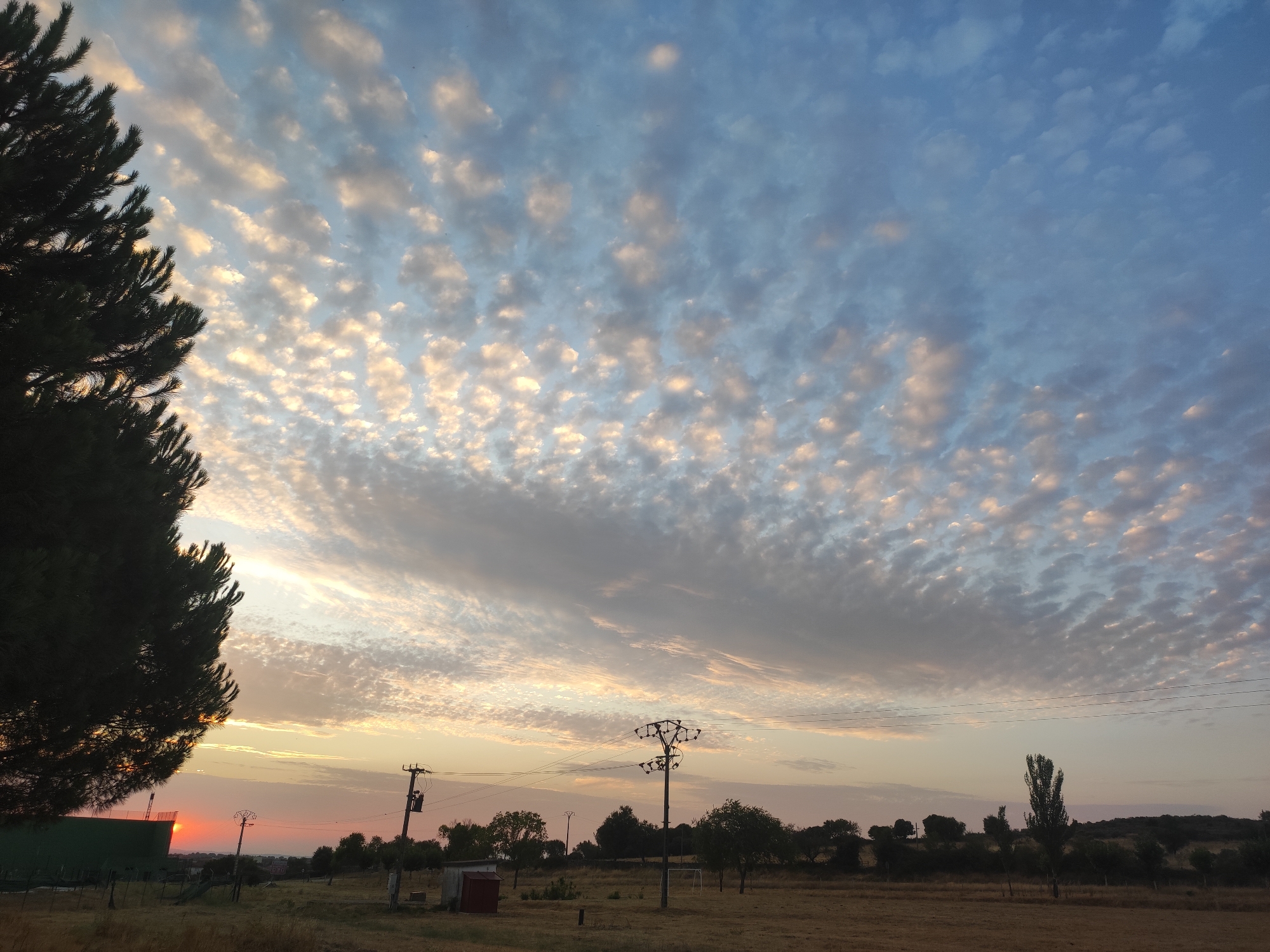 This is a horizontal, medium-shot photograph of a rural landscape in Sobradillo, Spain, at sunset. The sky is filled with a pattern of small, wispy clouds tinged with orange and yellow from the setting sun, contrasting with the blue of the upper sky. A large, dark green pine tree dominates the left foreground, its branches silhouetted against the sky. The middle ground features a dry, grassy field with scattered power poles and lines crisscrossing the scene. In the background, a line of trees and shrubs marks the horizon, with rolling hills visible further in the distance. A red building is partially visible on the far right. The overall atmosphere is serene and natural, characteristic of a sunset in a rural area.