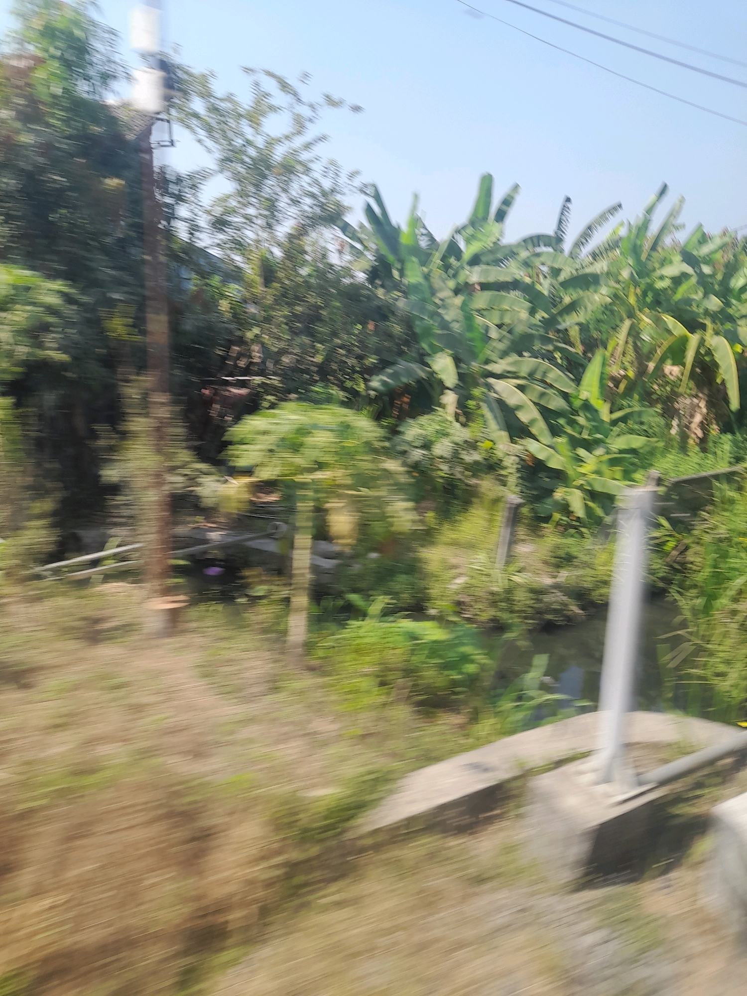 The image, taken in the city of Kemasan, Indonesia, depicts a blurred outdoor scene with lush vegetation, likely a rural or suburban area. A utility pole with a white rectangular fixture is prominent on the left side, with power lines extending overhead. Dense foliage, including banana trees with their large leaves, dominates the mid-ground and background. A small body of water, possibly a canal or ditch, is visible to the right of center, with a concrete structure along its edge. The motion blur suggests the photograph was taken from a moving vehicle. The sky is clear and light blue. There are no people visible in the image.