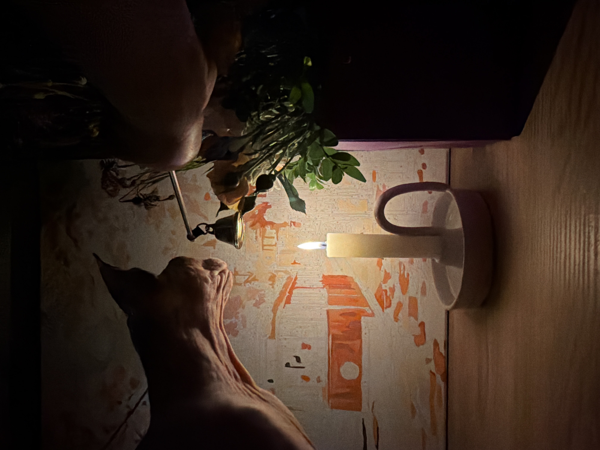A dimly lit indoor scene features a Sphynx cat in the foreground, its wrinkled, hairless skin prominently visible. A lit candle sits to the right, in a white ceramic holder. The light from the candle illuminates a wall with painted, abstract patterns. Above, there is a partial view of a hand or arm holding a bouquet of flowers and greenery. The top of the frame shows a dark, undefined area. The scene is enclosed and the location is unknown.