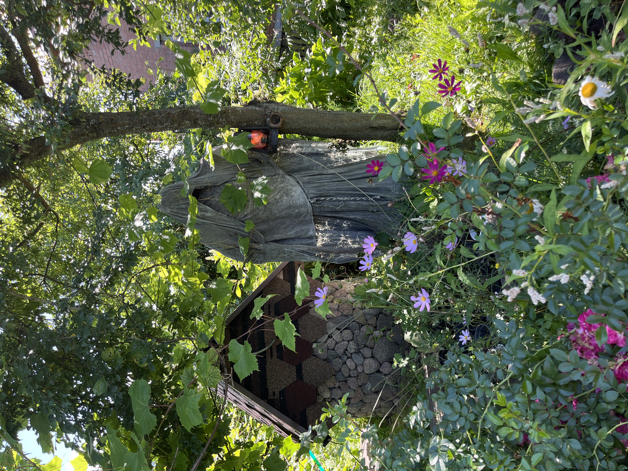 In a garden, a dark-robed figure stands beside a tree. The figure is draped in grey fabric, obscuring its form. A small, orange lantern is affixed to the tree trunk. To the left of the figure is a small, hexagonal structure built from stones and topped with a dark, shingled roof. The garden is lush with green foliage and various flowers, including purple and pink cosmos. In the background, a brick building is partially visible through the trees. The scene is lit by natural sunlight, casting shadows and highlighting the textures of the plants and the figure. The overall impression is one of a whimsical or possibly spooky garden decoration.