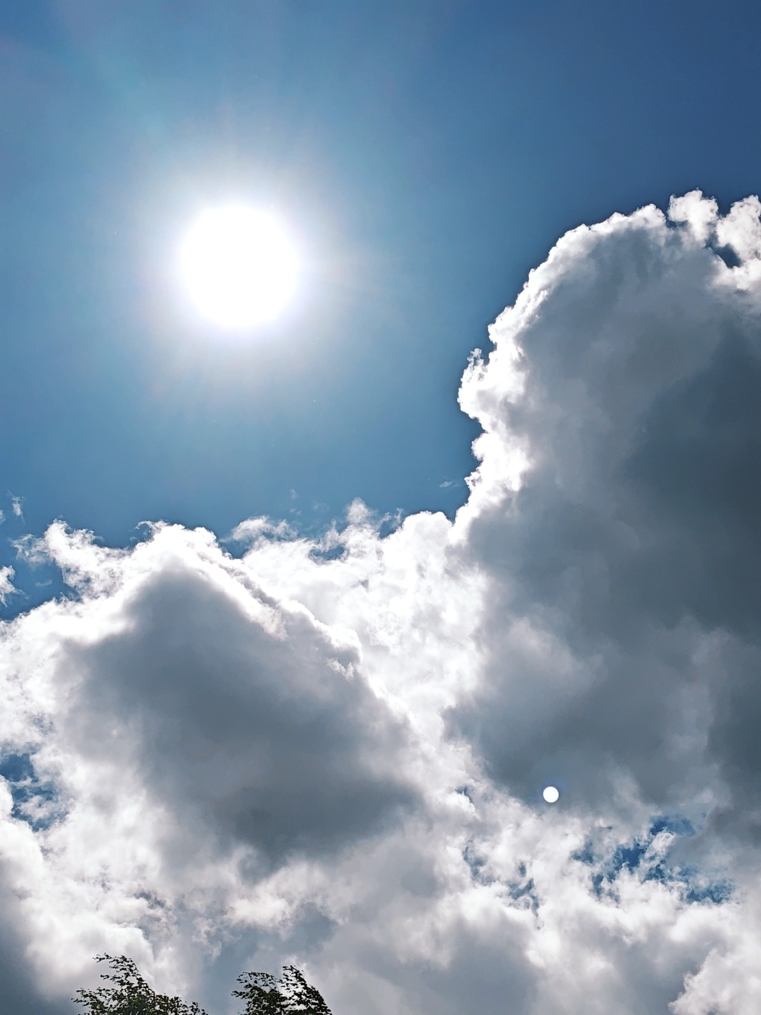 The image shows a daytime sky in Боровково, Russia, with a bright sun and clouds. The sky is blue, and the sun is positioned in the upper-left. Large, billowy clouds occupy a significant portion of the frame, mainly in the lower and right sides. Some foliage, possibly trees, is visible at the bottom.
