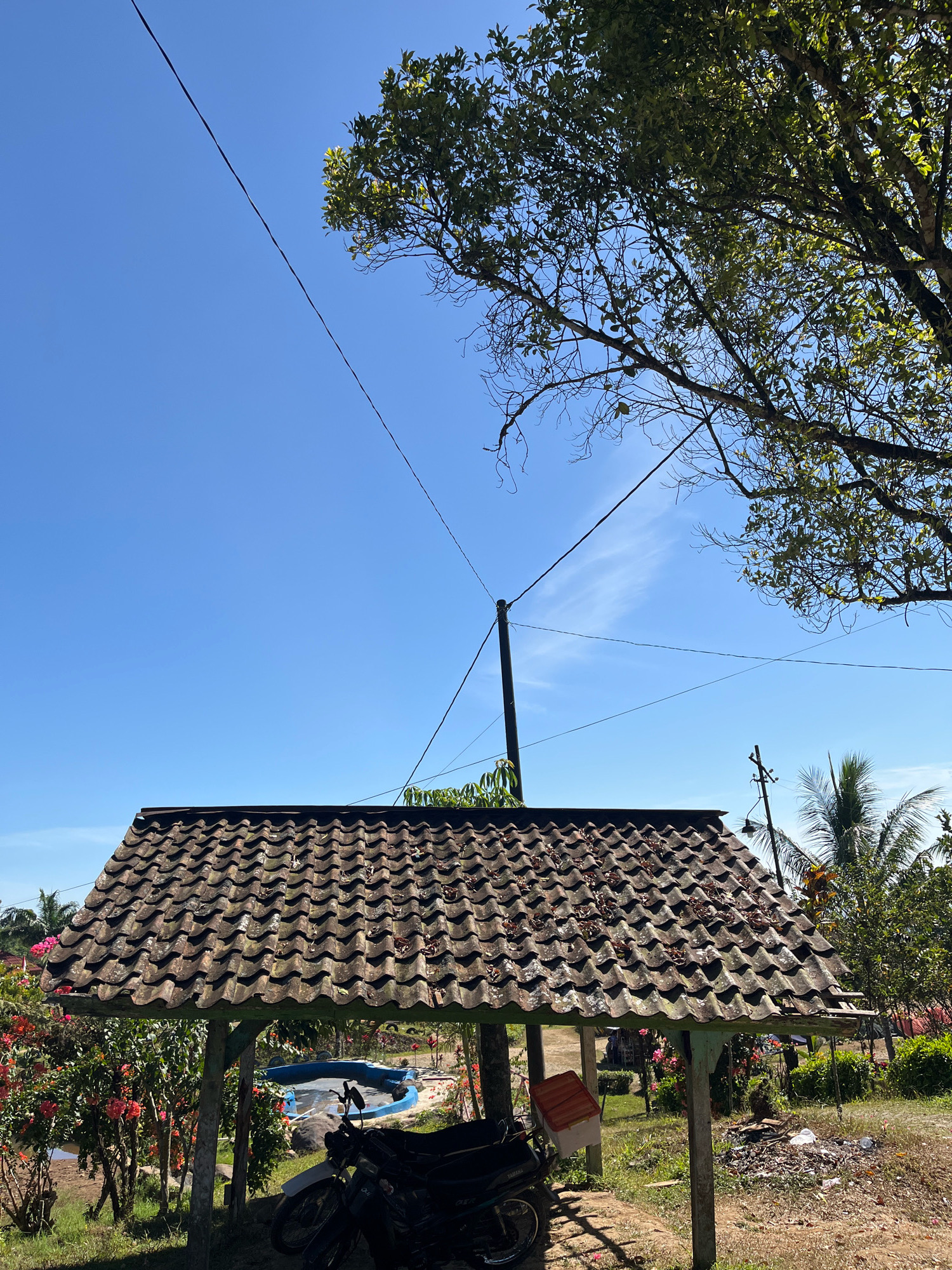 The image depicts an outdoor scene in Tomblo, Indonesia, dominated by a tiled roof structure, possibly a pavilion or open-air shelter. The roof is weathered and covered with fallen leaves. Beneath the shelter, a motorcycle is partially visible. In the background, there's a small blue pool, lush green vegetation with vibrant pink flowers, and several palm trees under a clear blue sky. Power lines crisscross the sky, supported by utility poles. The overall impression is of a rural or semi-rural setting.