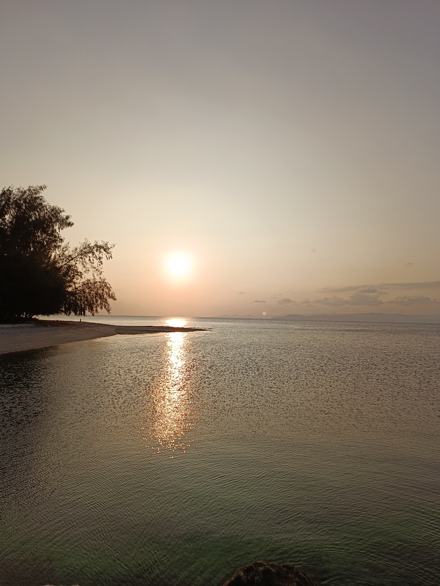 The image captures a serene sunset over the ocean in Paisulamo, Indonesia. The sun, a bright orb, is positioned low on the horizon, casting a shimmering golden path across the calm water. To the left, a sandy beach is visible, bordered by a line of trees with dense foliage, silhouetted against the pale sky. The water's surface is slightly rippled, reflecting the warm tones of the sunset. In the distance, a faint silhouette of hills or mountains can be seen against the sky. The overall atmosphere is peaceful and tranquil, typical of a tropical evening.