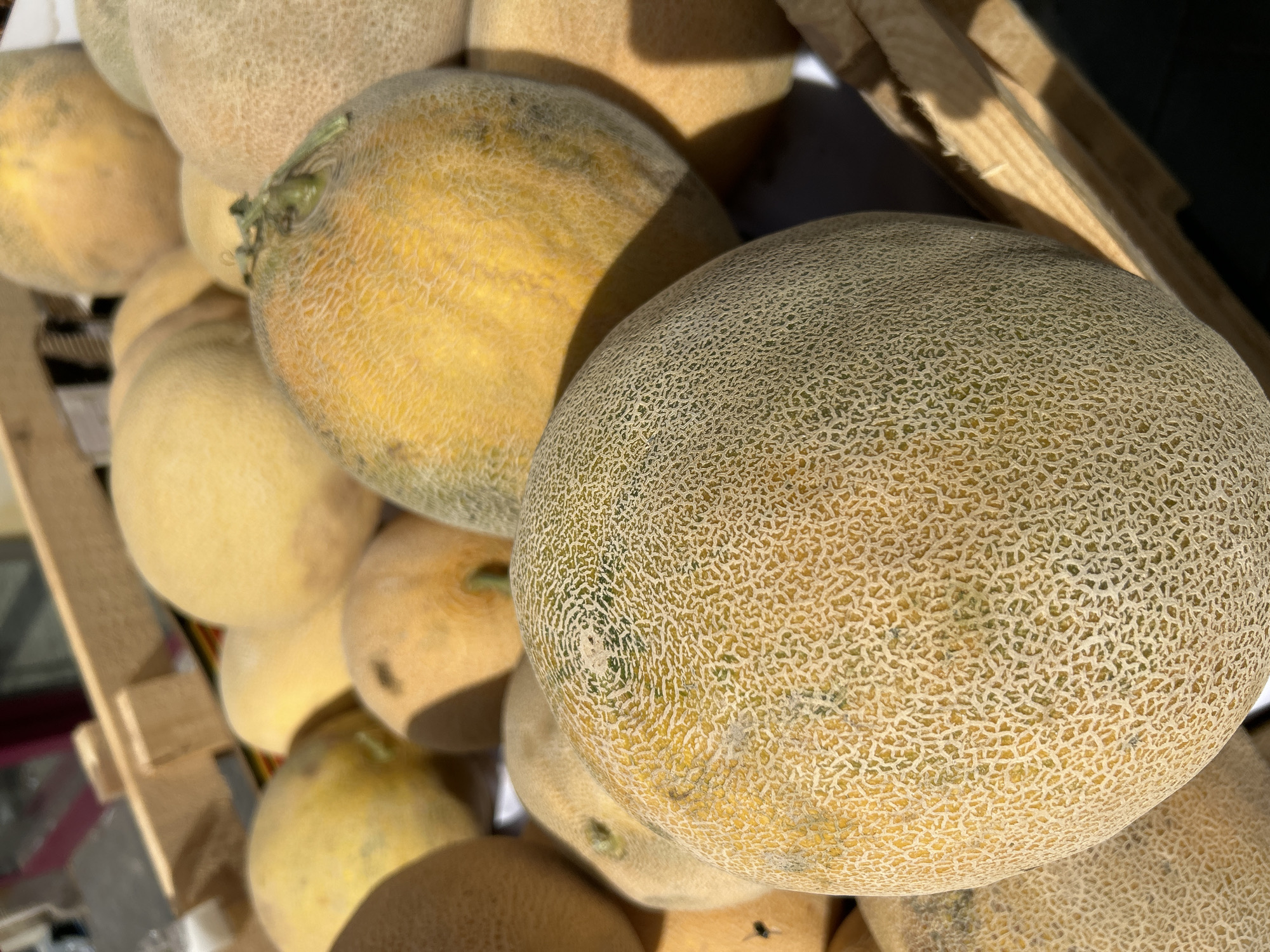 The image shows a close-up view of a wooden crate filled with cantaloupes. The melons are stacked on top of each other, with some of them filling the frame. The crate appears to be outdoors, possibly at a market, with sunlight casting shadows on the melons. The cantaloupes have a rough, netted rind with a color ranging from pale yellow to orange-yellow. One melon in the foreground has a stem still attached. The background is blurred, but it appears to be a market stall or an outdoor setting. The image does not contain any identifiable landmarks or details to specify its exact location within Detmold, Germany.