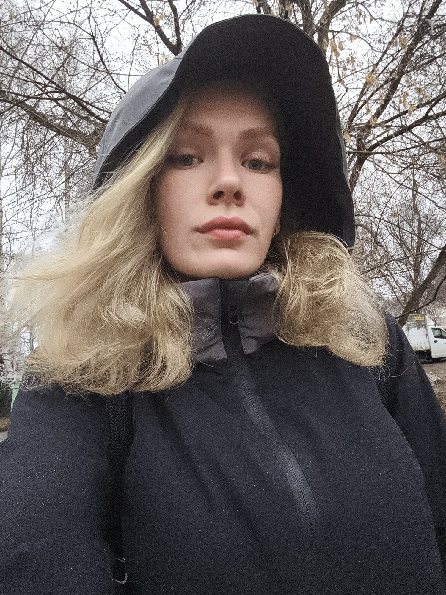 A woman with light blonde hair and fair skin is the focal point of a medium-shot selfie. She is wearing a dark-colored jacket with a hood pulled up, obscuring her hairline and the top of her head. The jacket's zipper is partially visible, and a gray collar is visible under the hood.
The background consists of bare trees with intricate branching patterns against an overcast sky, indicative of late autumn or early spring. A white van is partially visible in the distance, suggesting an urban or suburban environment. Given the prompt, the location is likely in Izhevsk, Russia. The overall atmosphere is muted and gray due to the weather conditions.